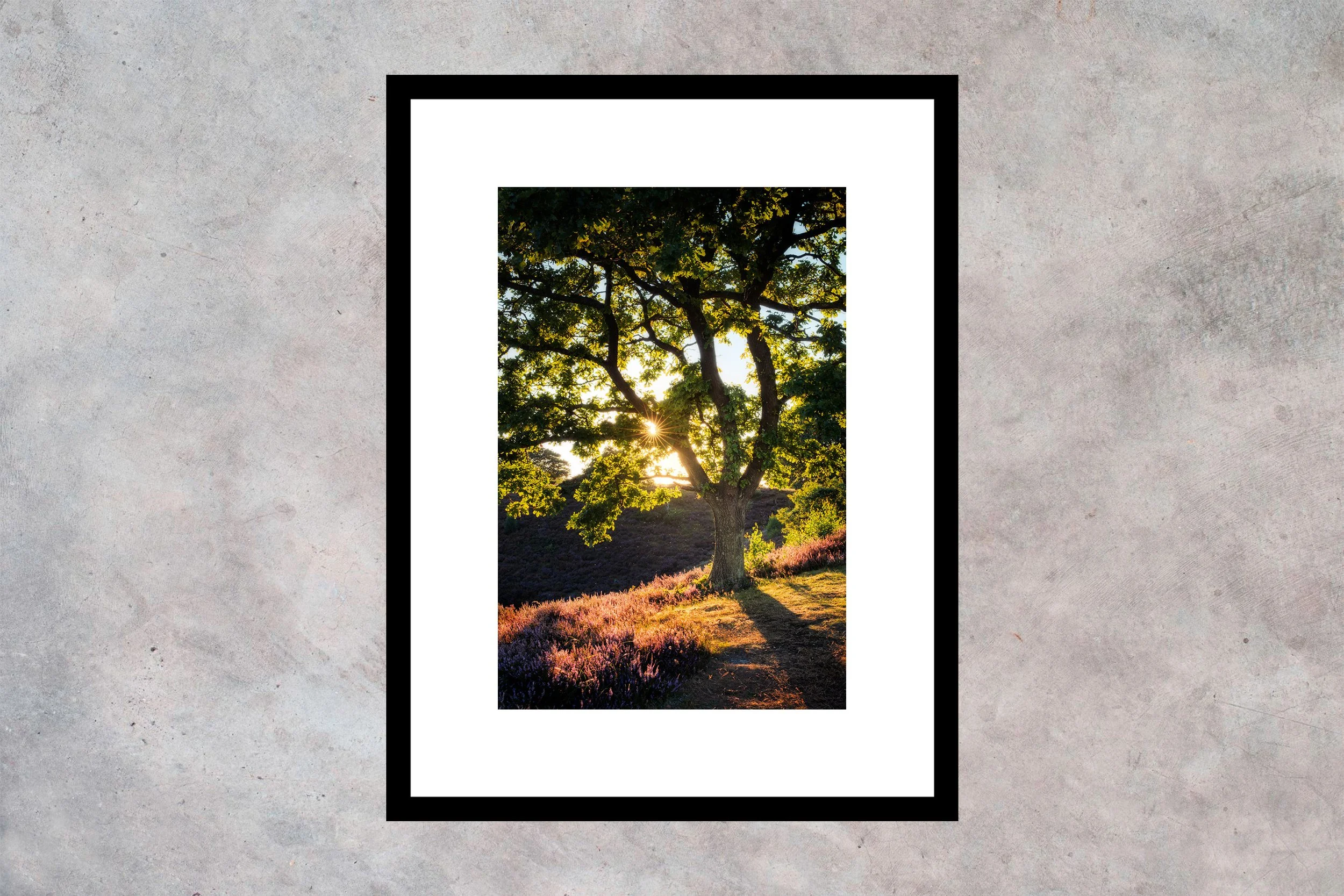 Solnedgang ved Dolleup Bakker Ramme m passepartout 2-3 Vertikal.jpg