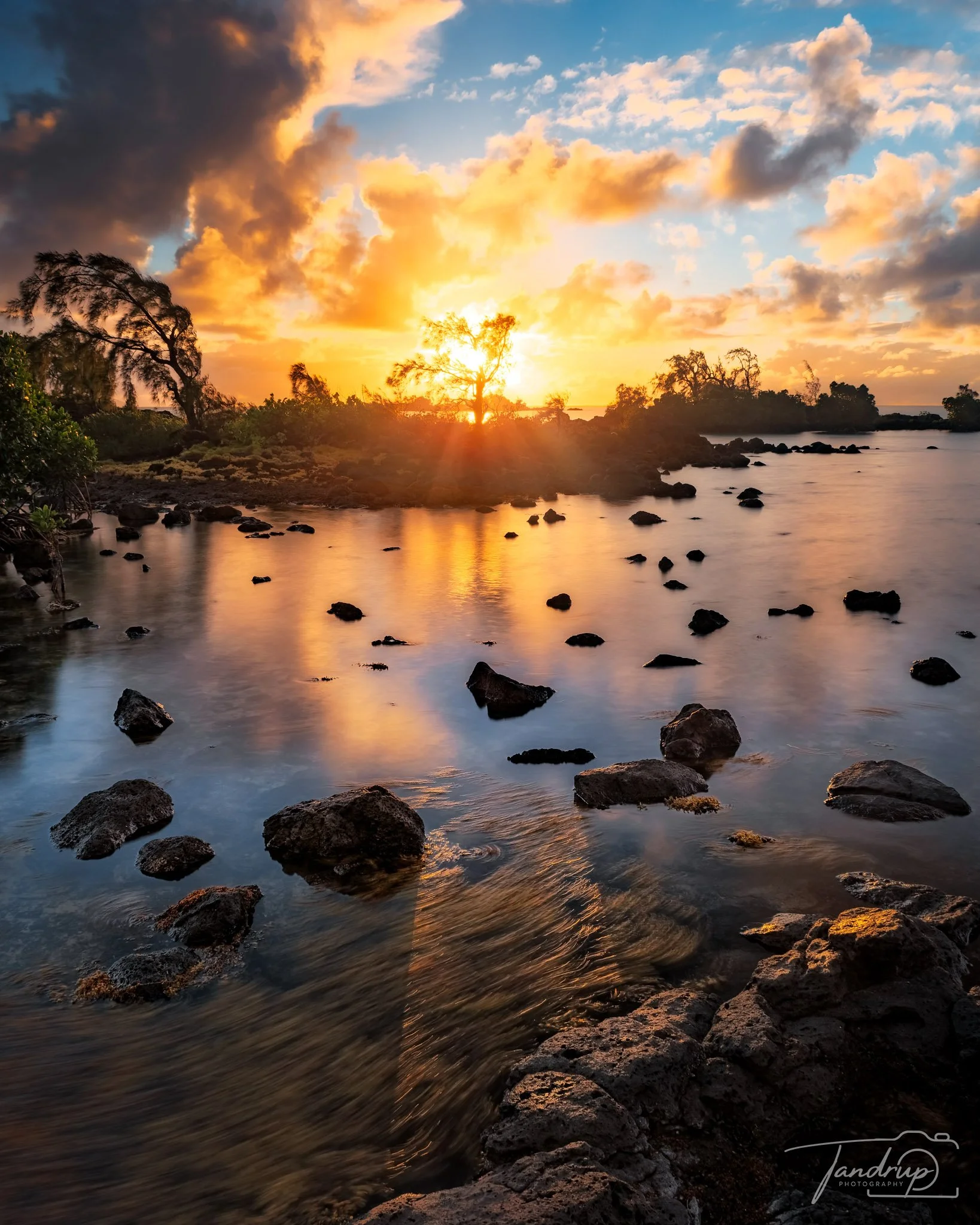 _DSF7441-20250603-DxO_DeepPRIME XD2s-HDR-Edit_Flickr  500px_1638x2048_H_100.jpg