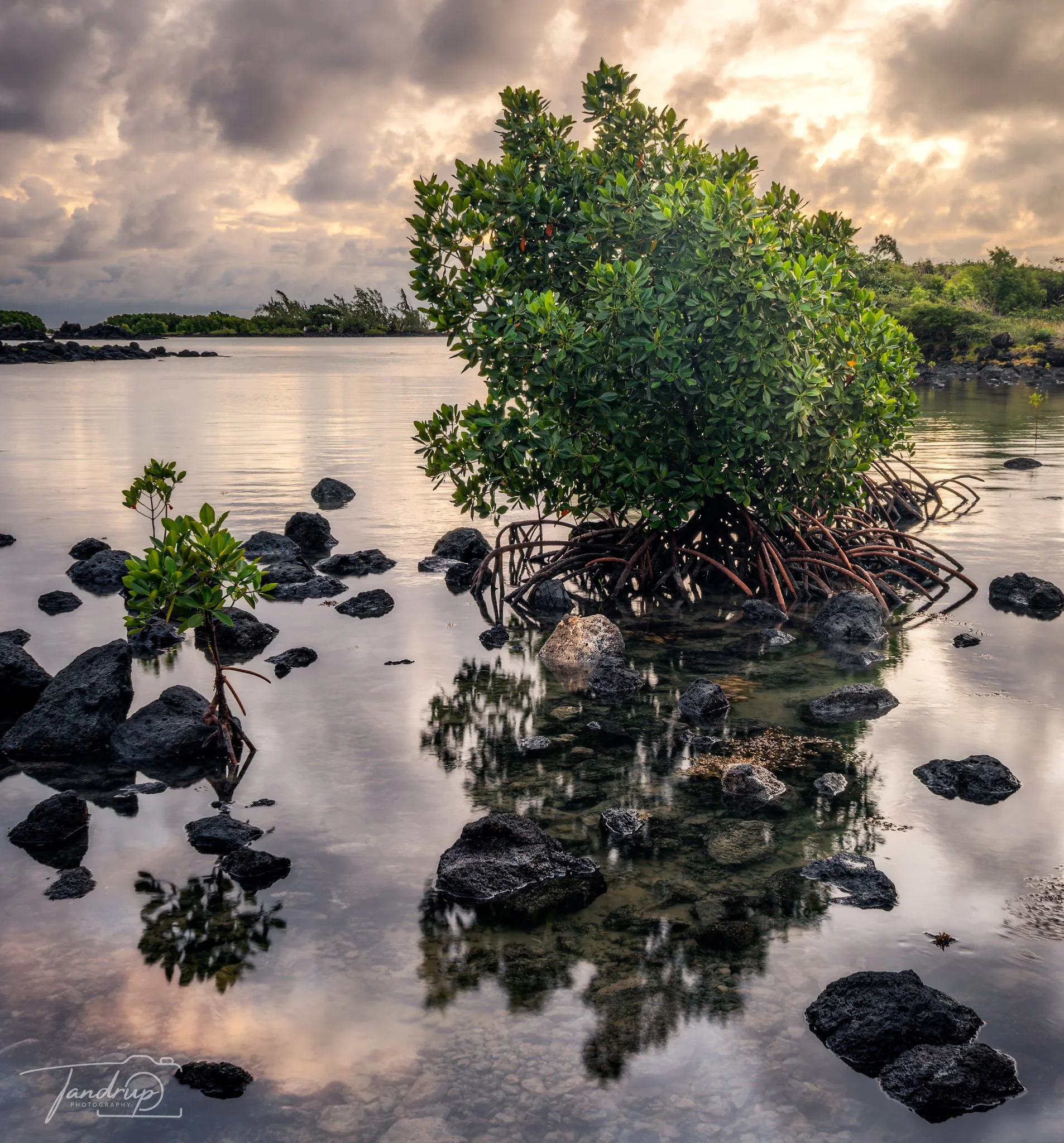 _DSF7383-20250603-DxO_DeepPRIME XD2s-HDR_Flickr  500px_1906x2048_H_100.jpg