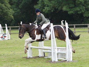 Show jumping on grass (Summer only)
