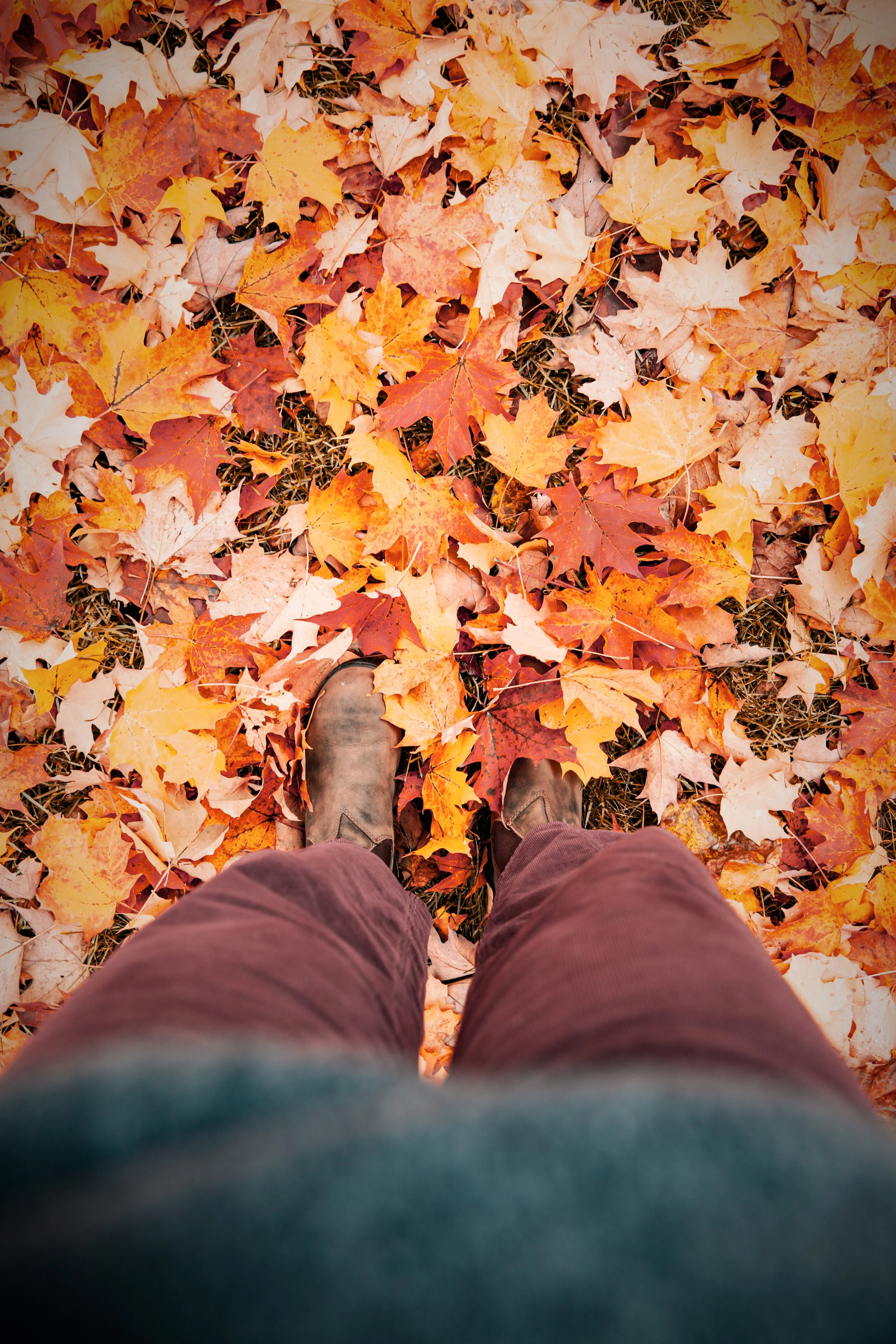 Jody Eddy James Beard nominated cookbook author