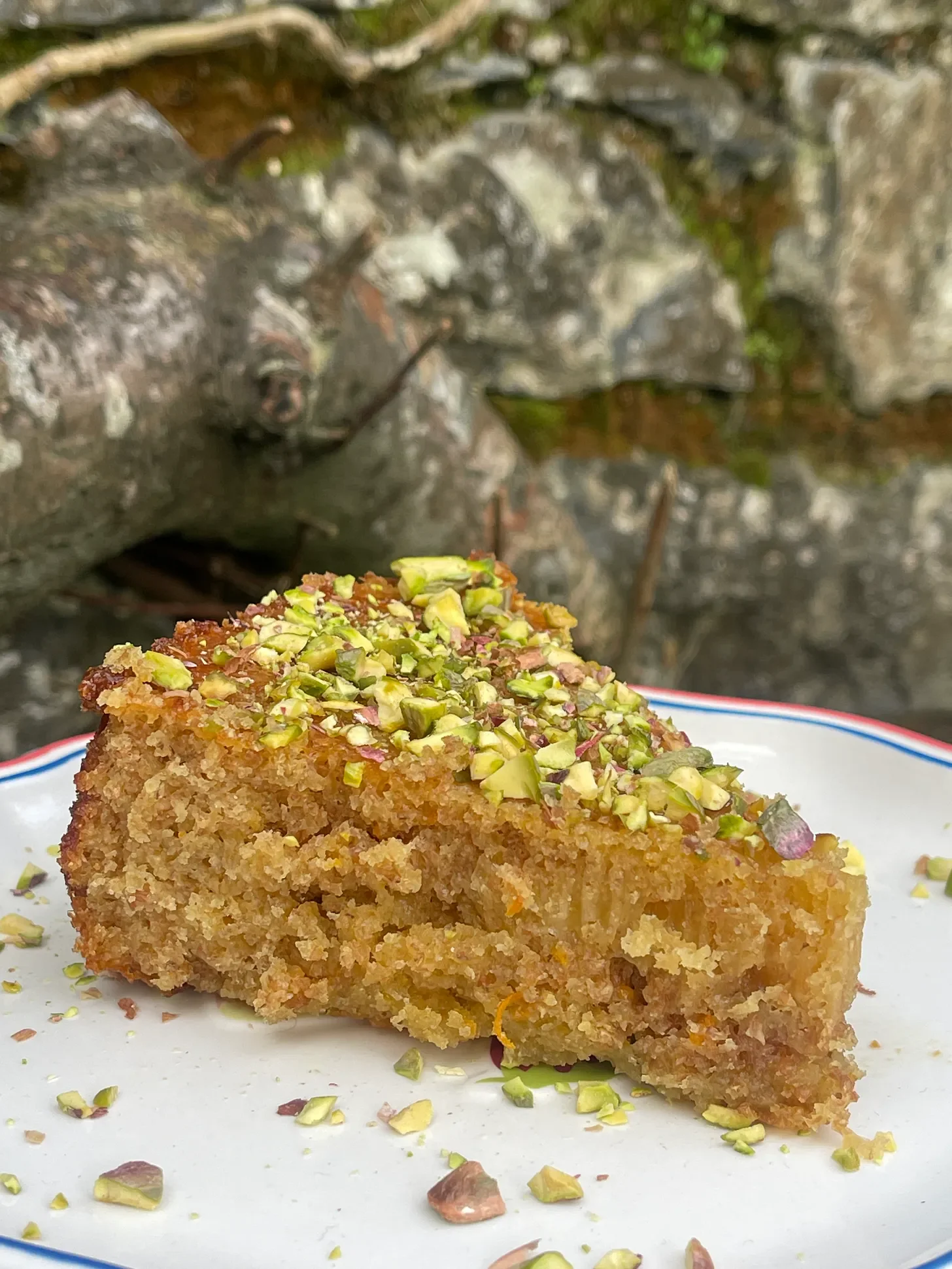 ORANGE-GINGER OLIVE OIL CAKE