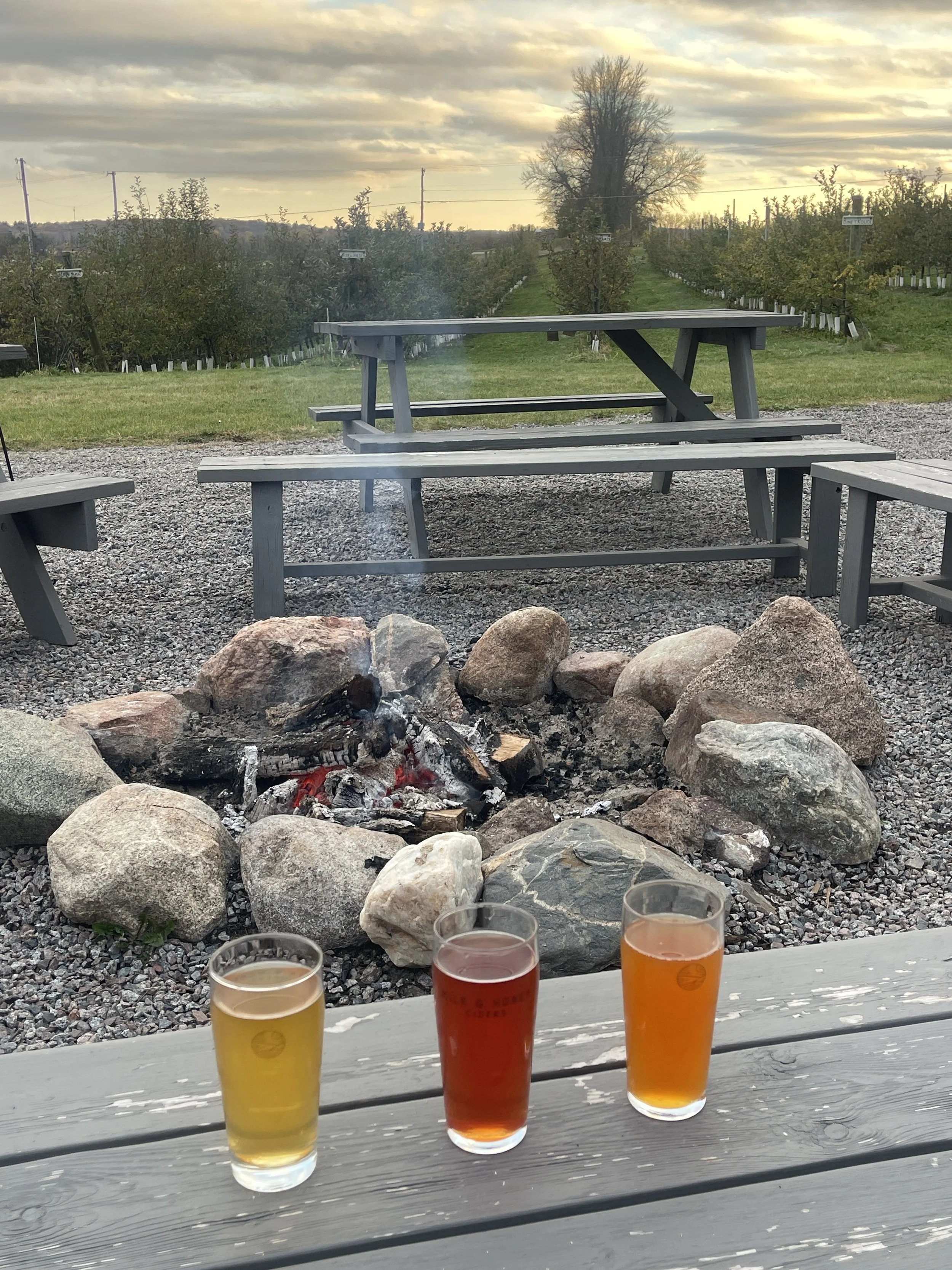 Milk and Honey Ciders tasting Minnesota craft cider Story Feast Tours