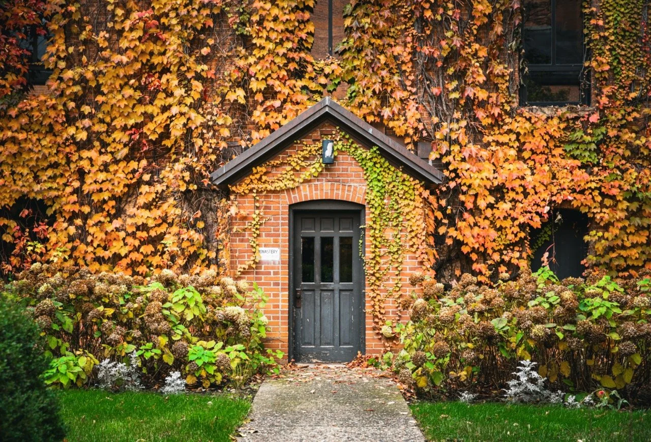 Story Feast photography Bailey Bassen St Johns Abbey autumn monastery dinner