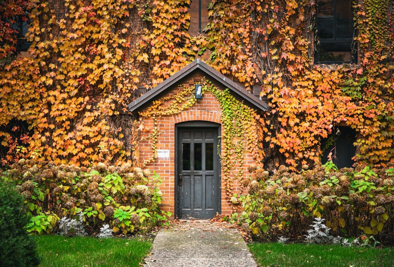 Minnesota Monthly press coverage Story Feast