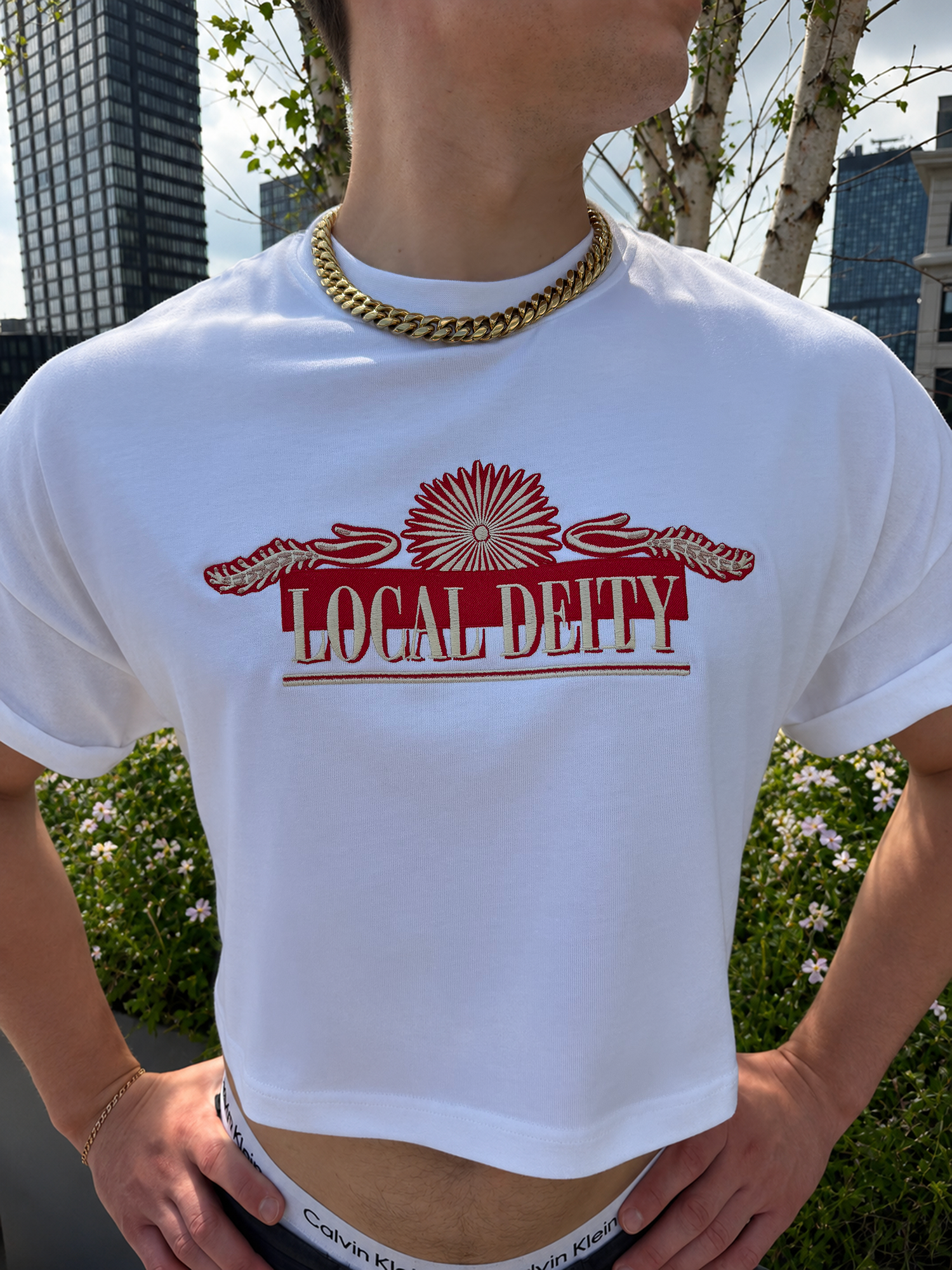 T019 LOCAL CROP ZOOM 1.png
