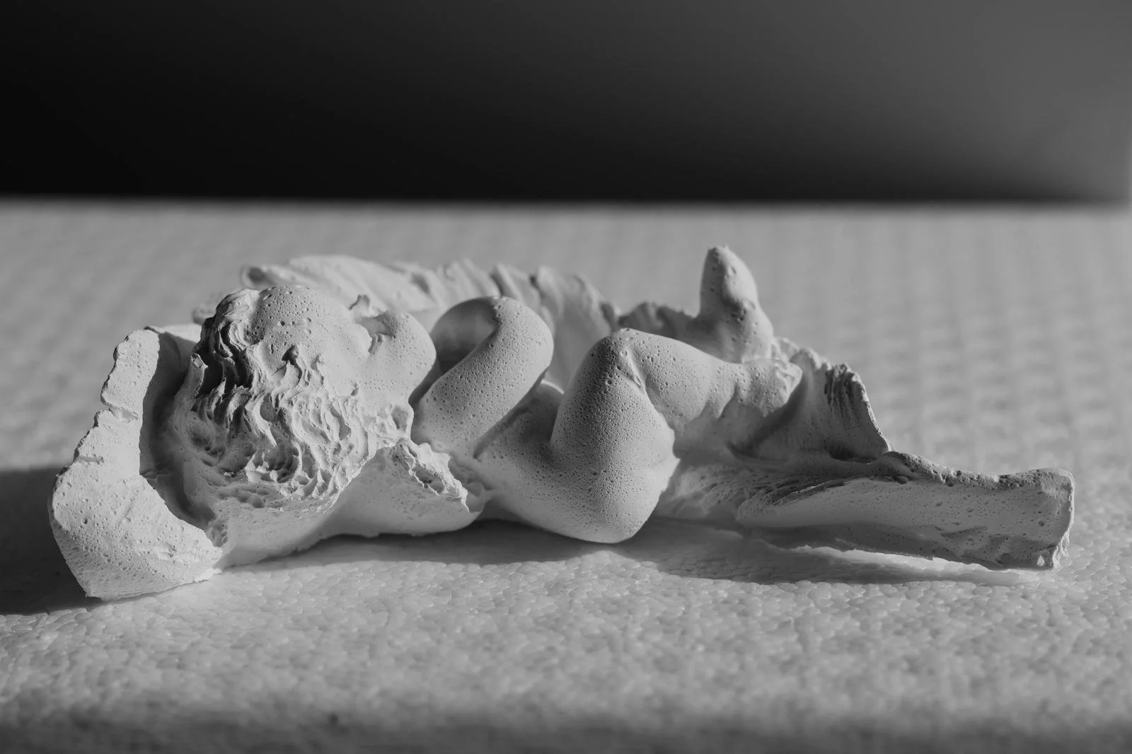 WhatsApp Image 2026-02-24 at 15.56.27 (17).jpeg