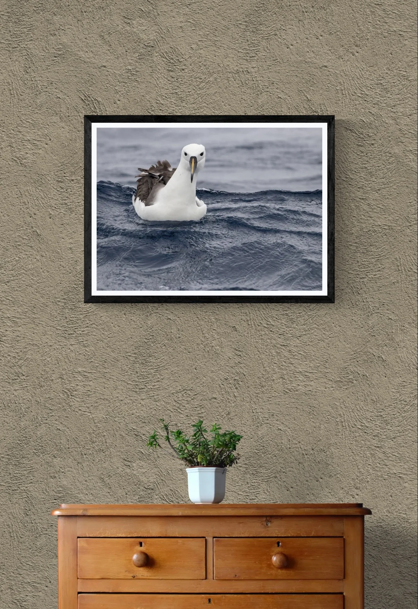 Plant on wooden drawers-2.jpeg