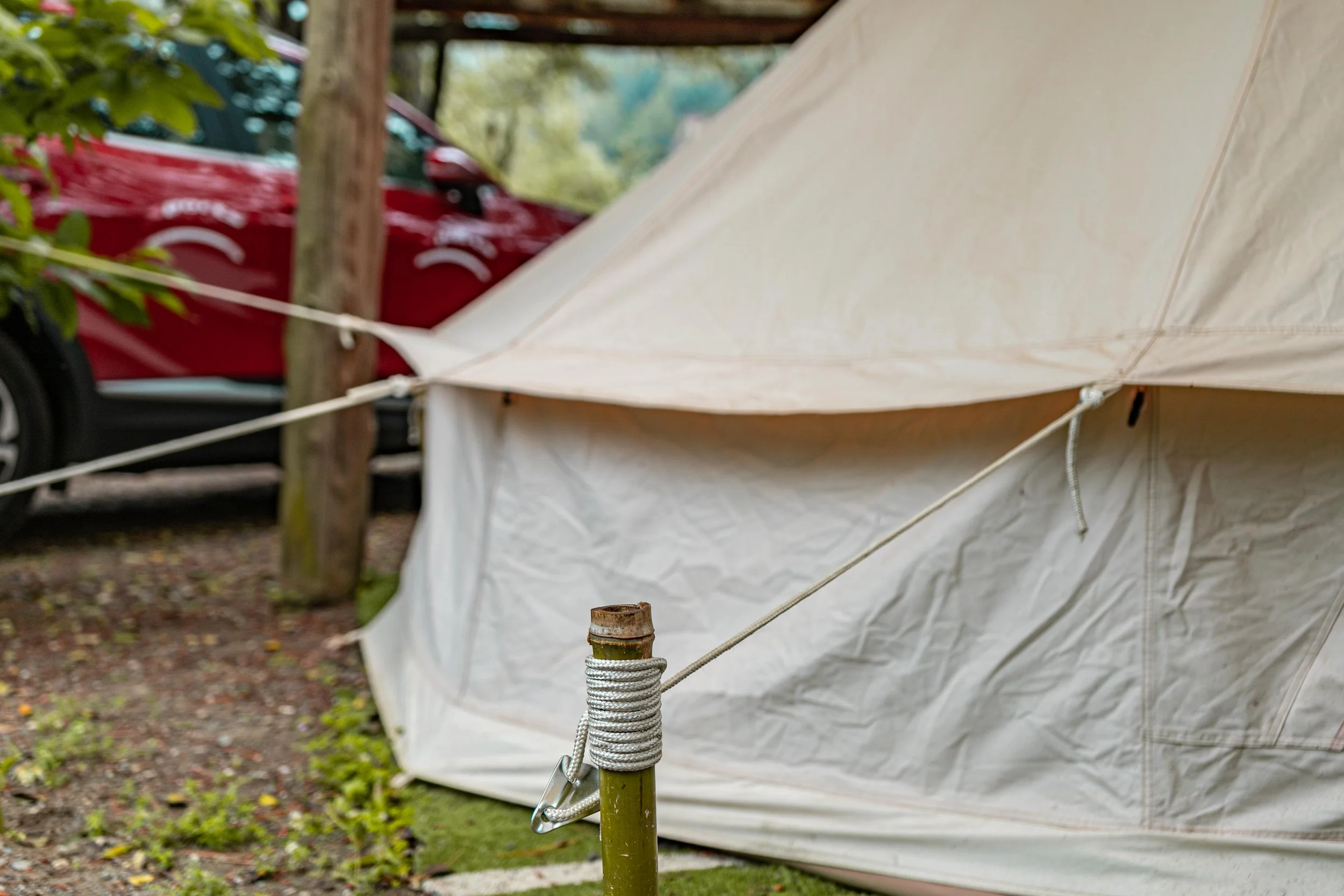 DSC00187.jpg