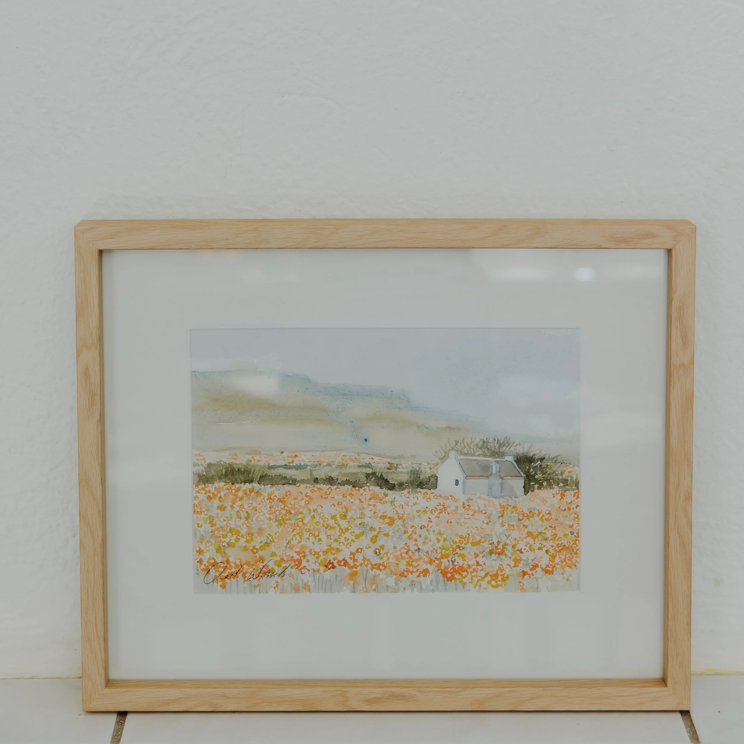 Namaqualand.jpg