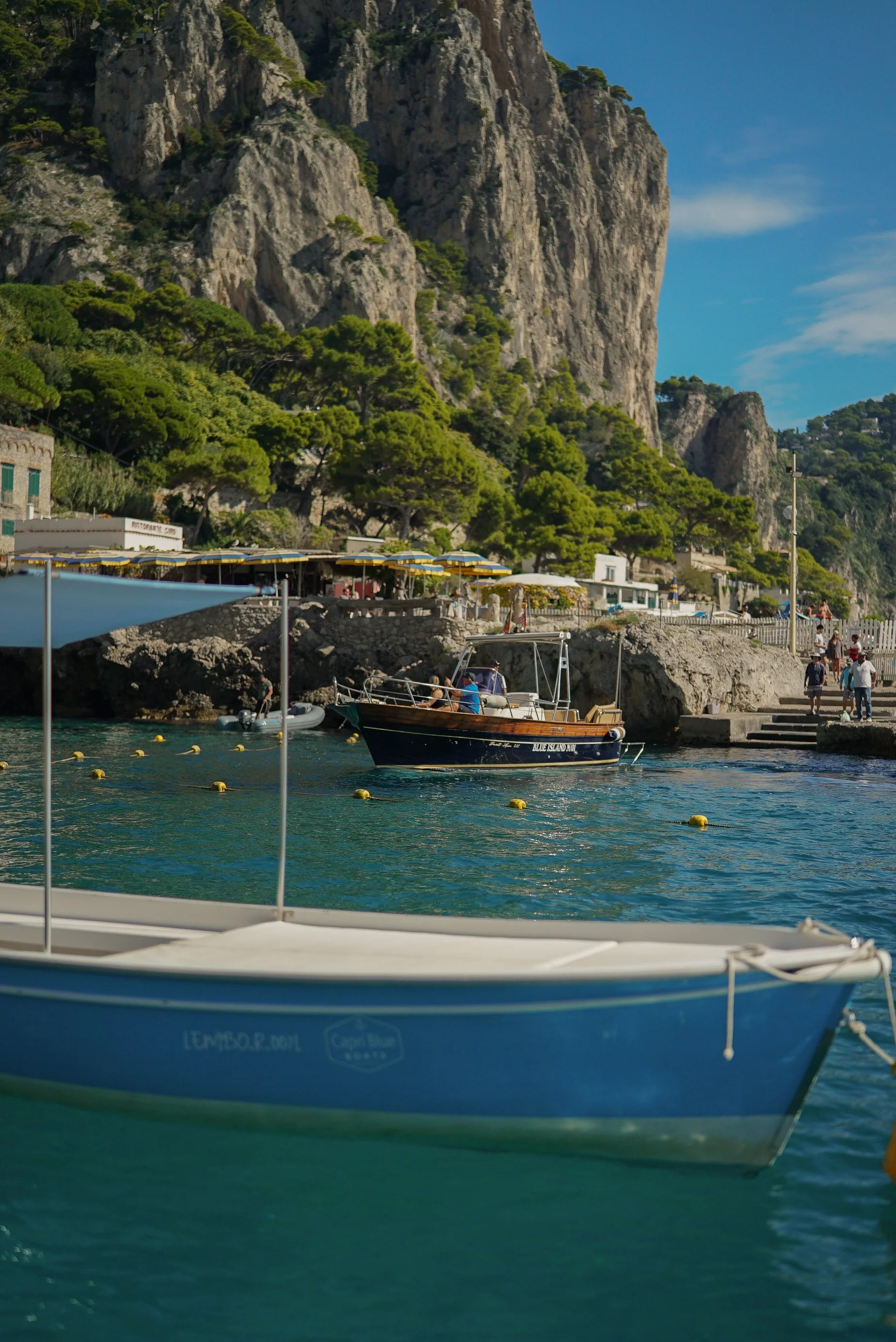 View of a marina with boats docked, a rocky coastline with green trees, and towering cliffs in the background under a blue sky.