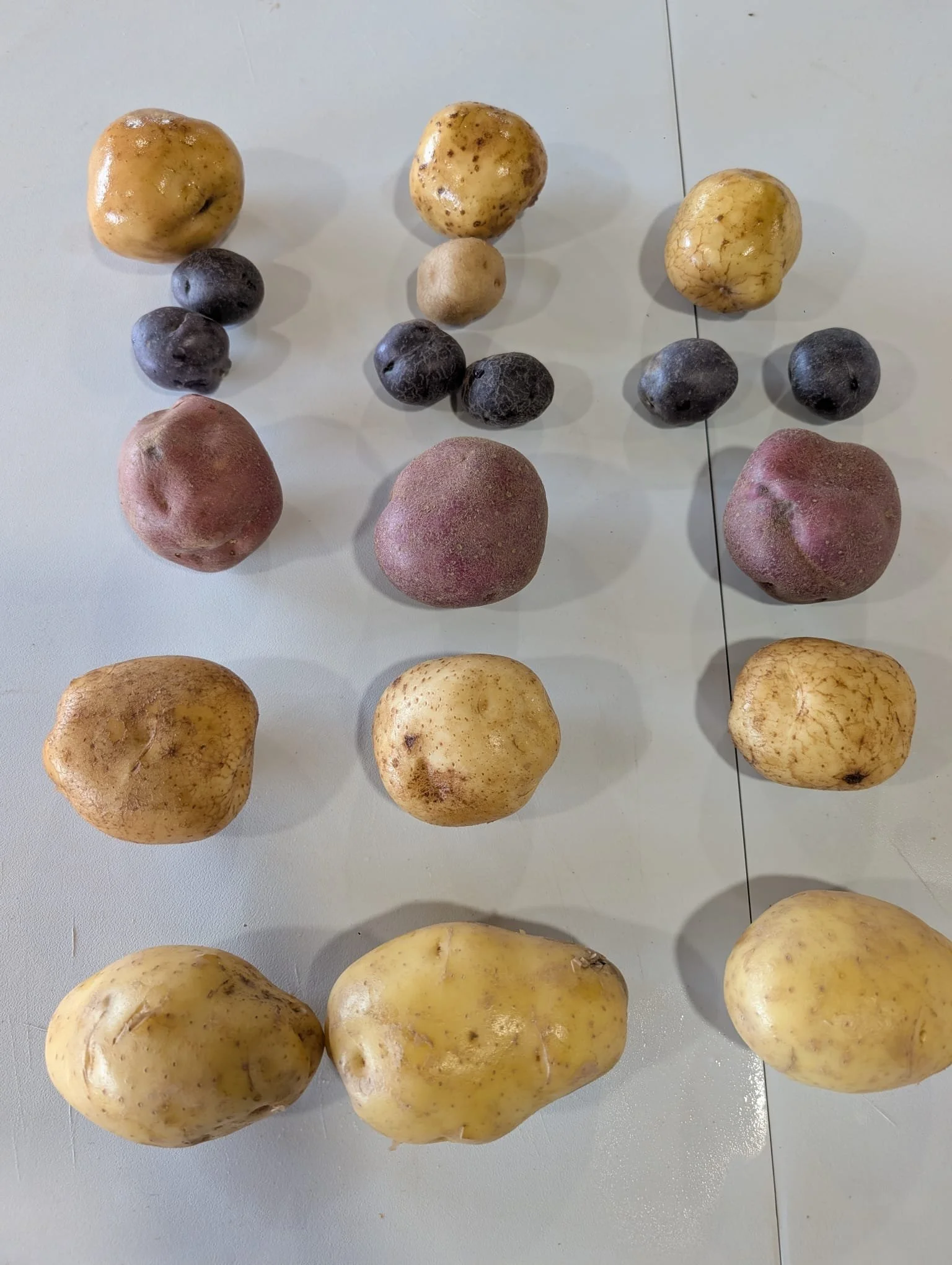Potatoes for Fondue.jpeg