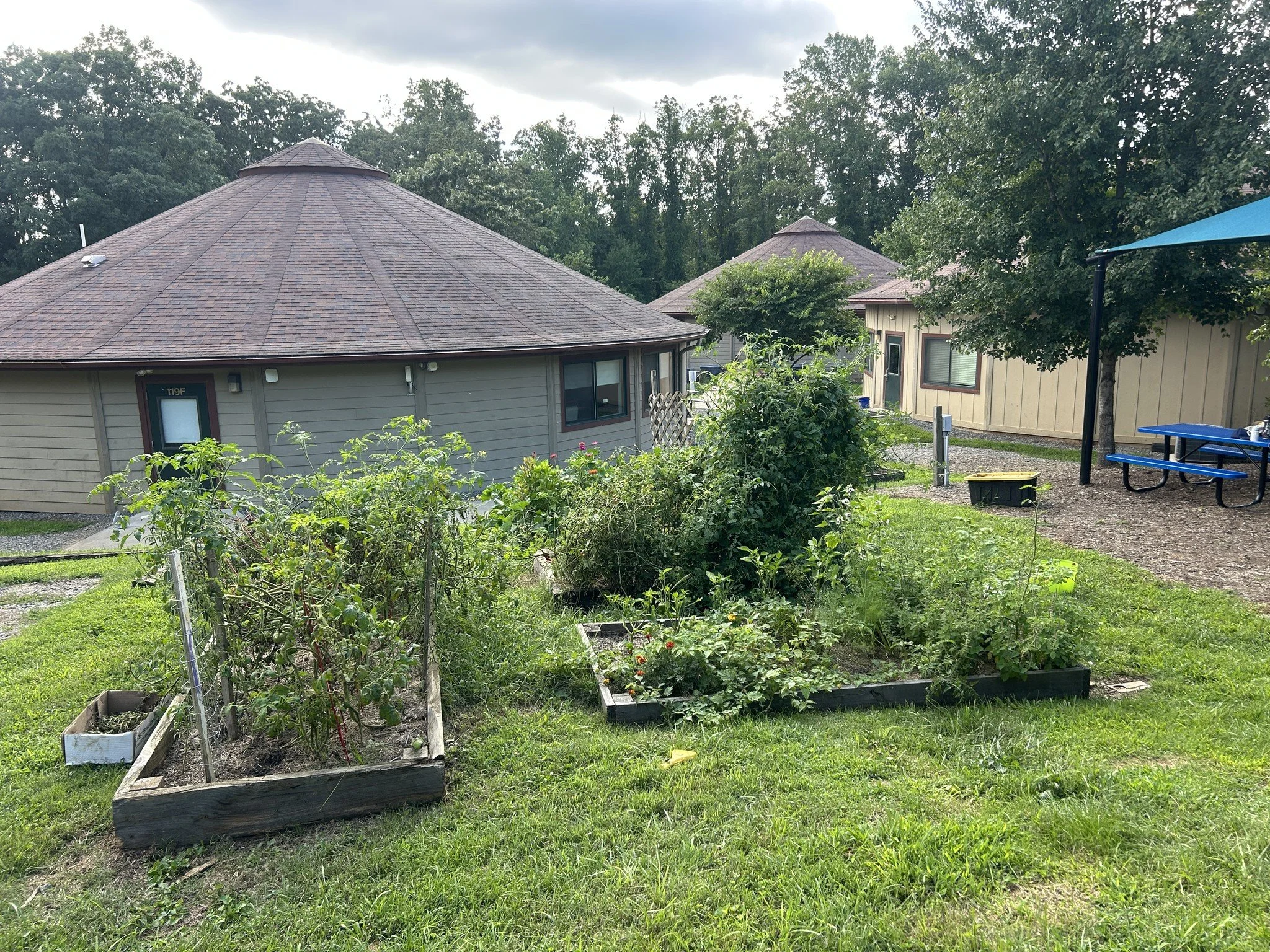 Francine Delany New School for Children