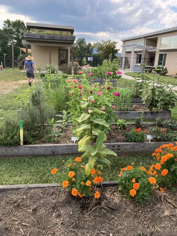 Isaac Dickson Elementary Garden