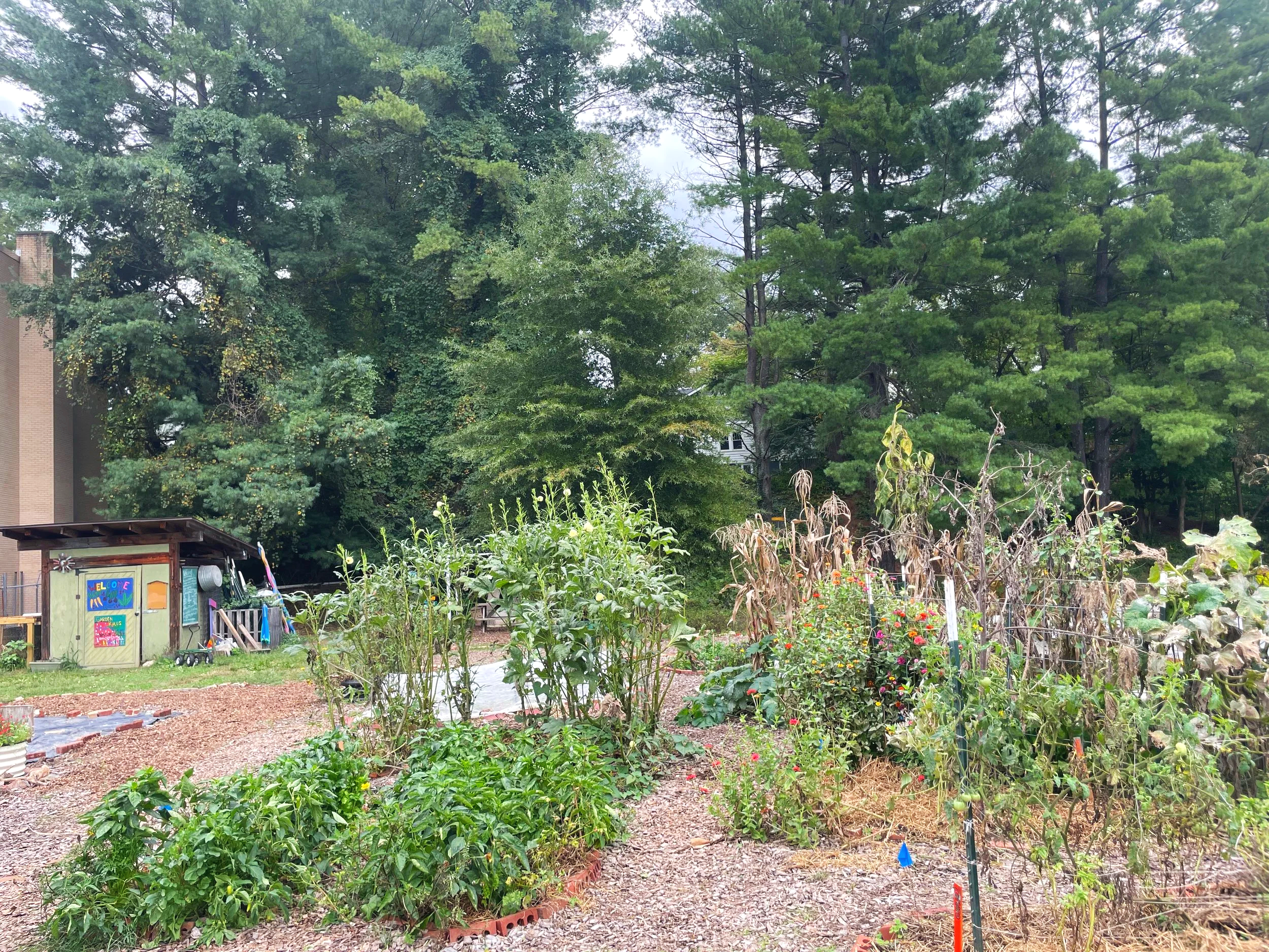 Hall Fletcher FEAST Garden