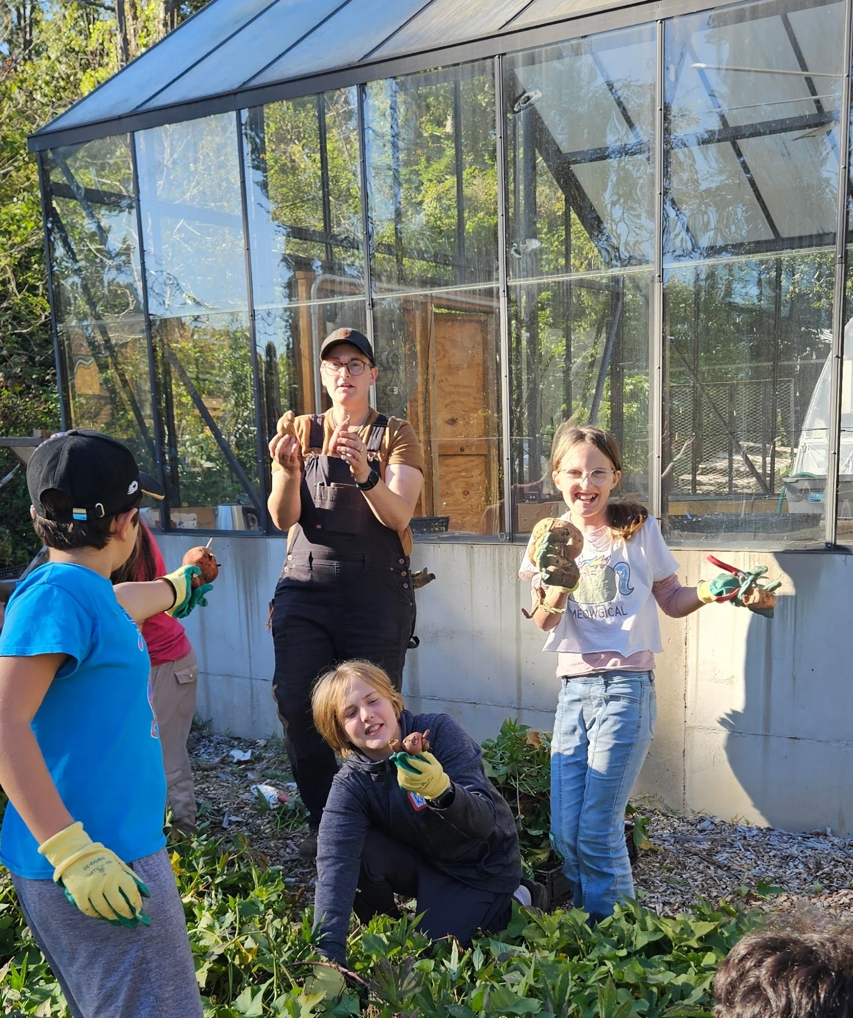 IRL Sweet Potato Harvest (1).jpg