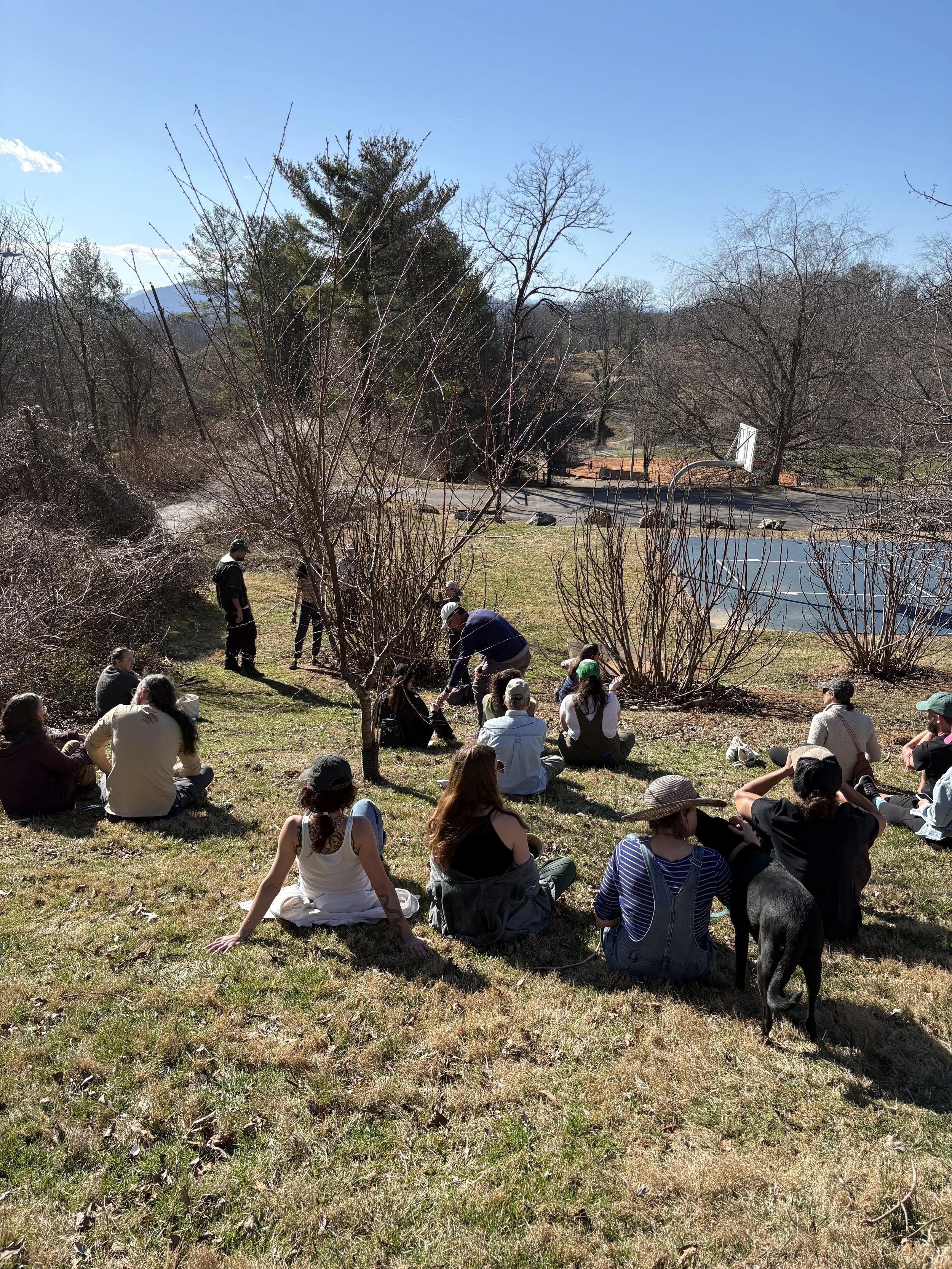 Tempie Avery Food Forest