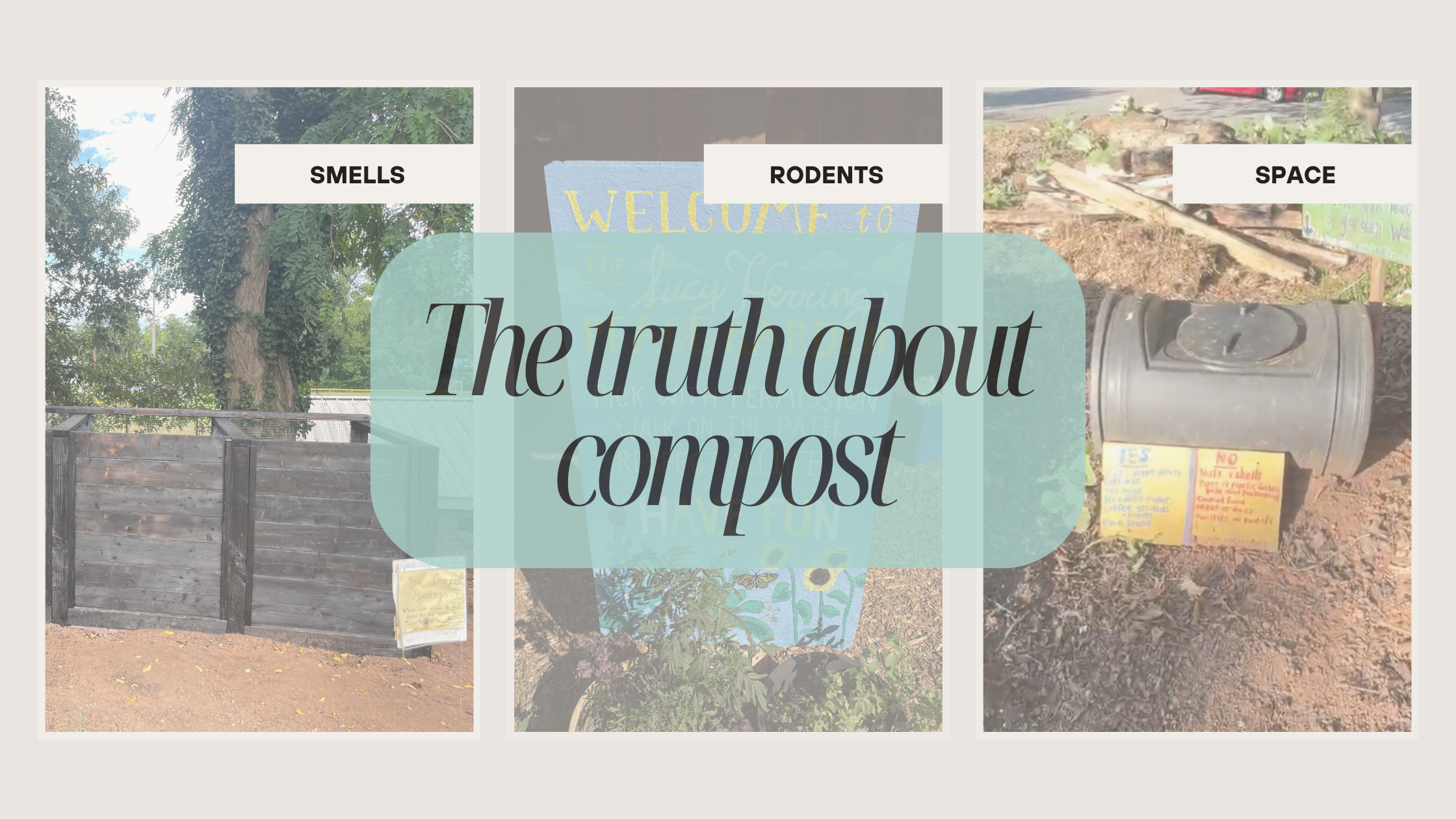 The Truth About Composting: Smells, Rodents, and Other Common Concerns