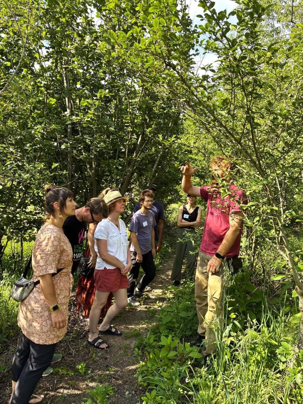 GN Tour Food Forest.jpg