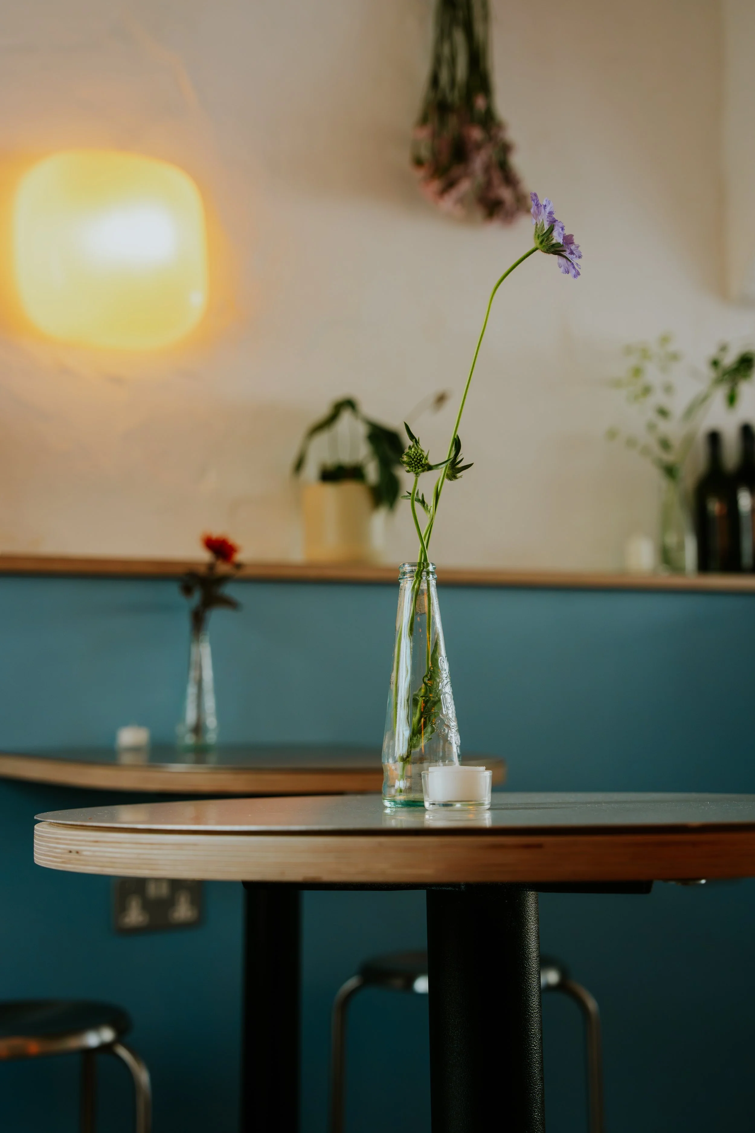 FM DESIGN, OUTGROWN, WINE BAR, BRIGHTON