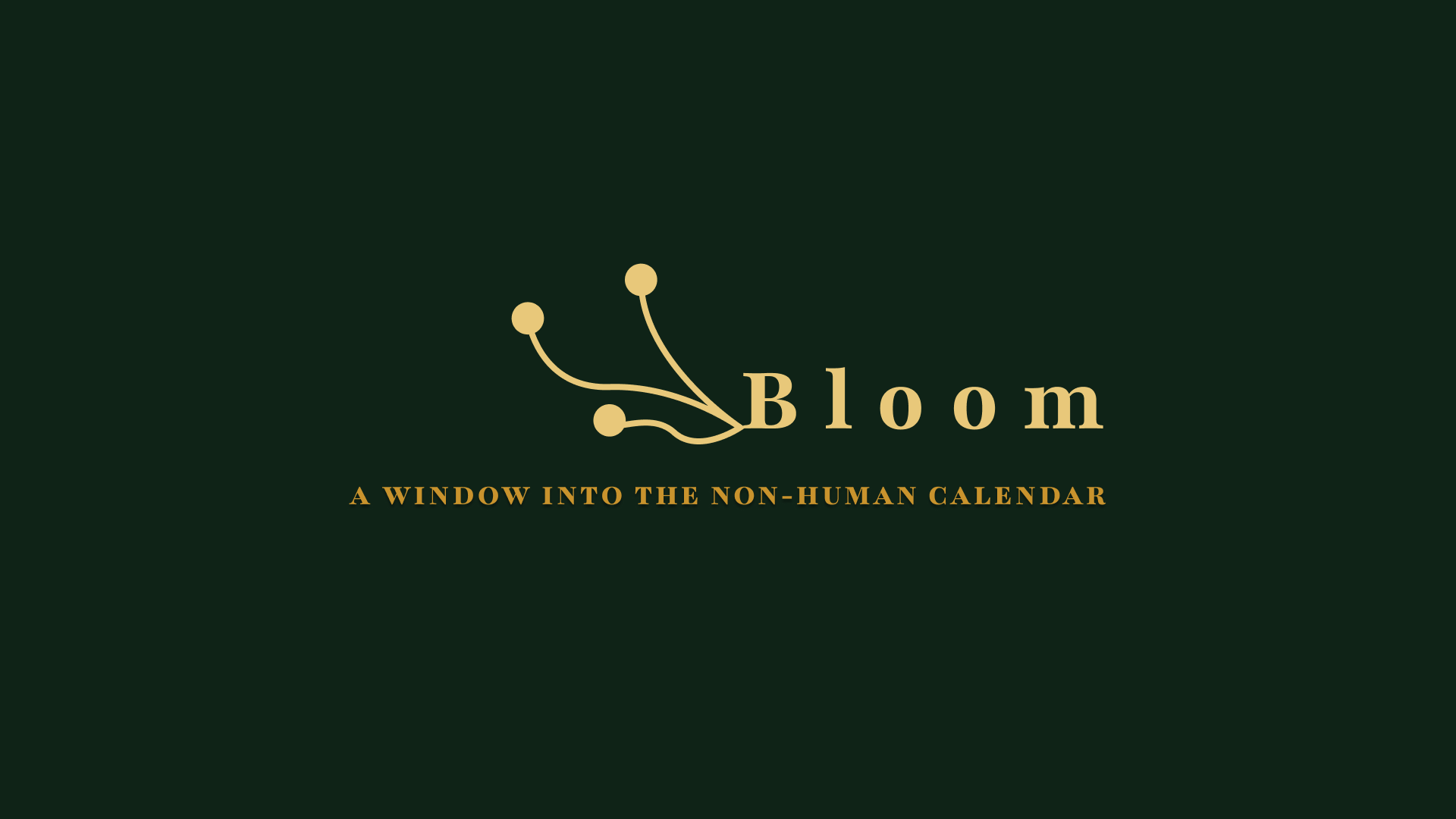 Info graphic titled 'Bloom: A Window Into the Non-Human Calendar' with a dark green background, beige text, and a graphic of interconnected circles resembling a botanical or star diagram.