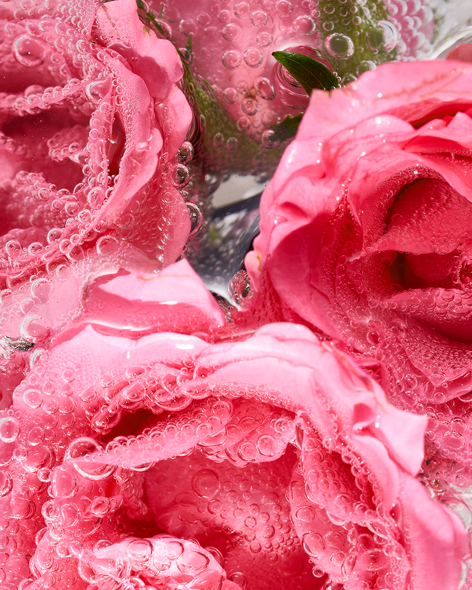 som carousel-every me sweetheart rose-carousel 3.png