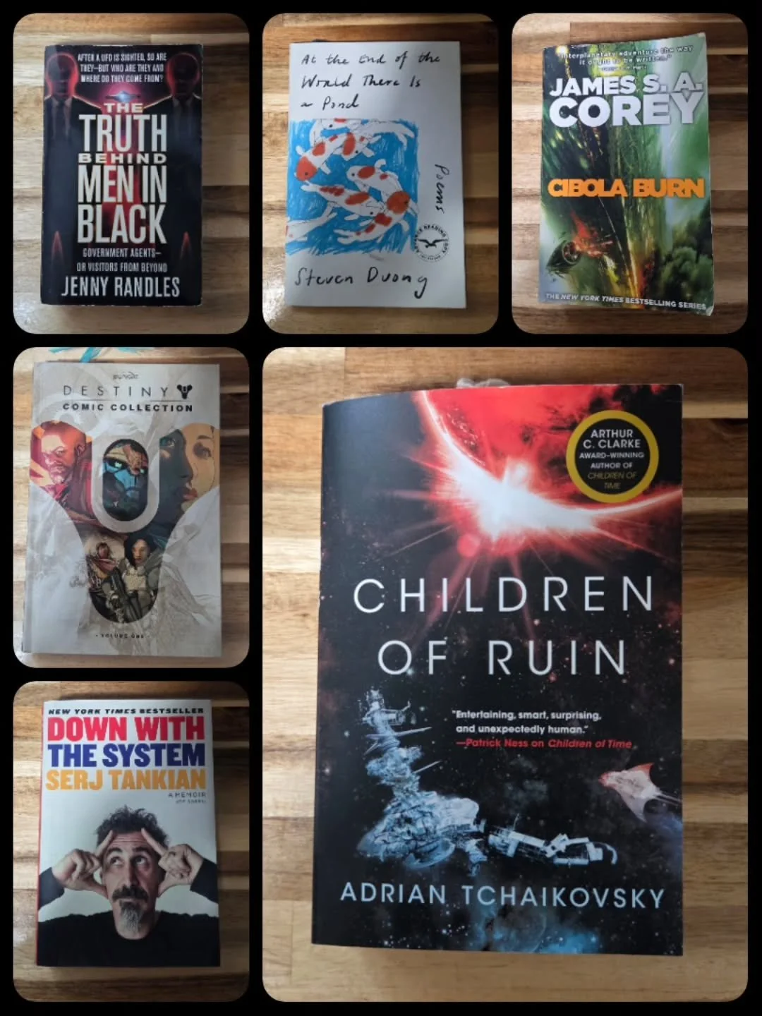 I am always all over the place with reading multiple books at the same time, but here are some of the books I'm currently reading. Children of Ruin by Adrian Tchaikovsky, Cibola Burn by James S.A. Corey, At the End of the World There is a Pond by Ste
