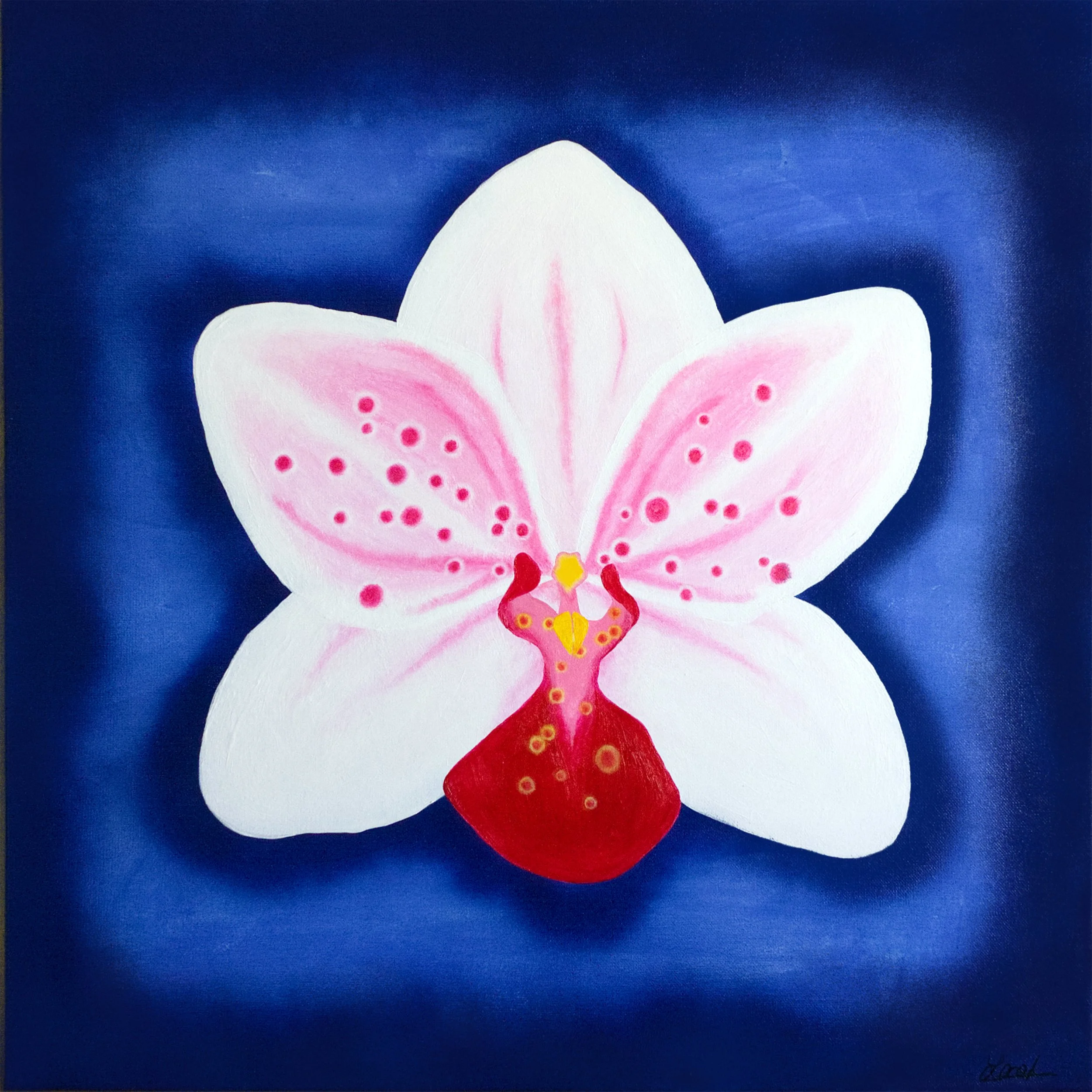 A painting of a large pink and white flower with an orchid plant in the center, against a dark blue background.