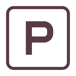 A black parking sign with a white letter 'P' in the center.
