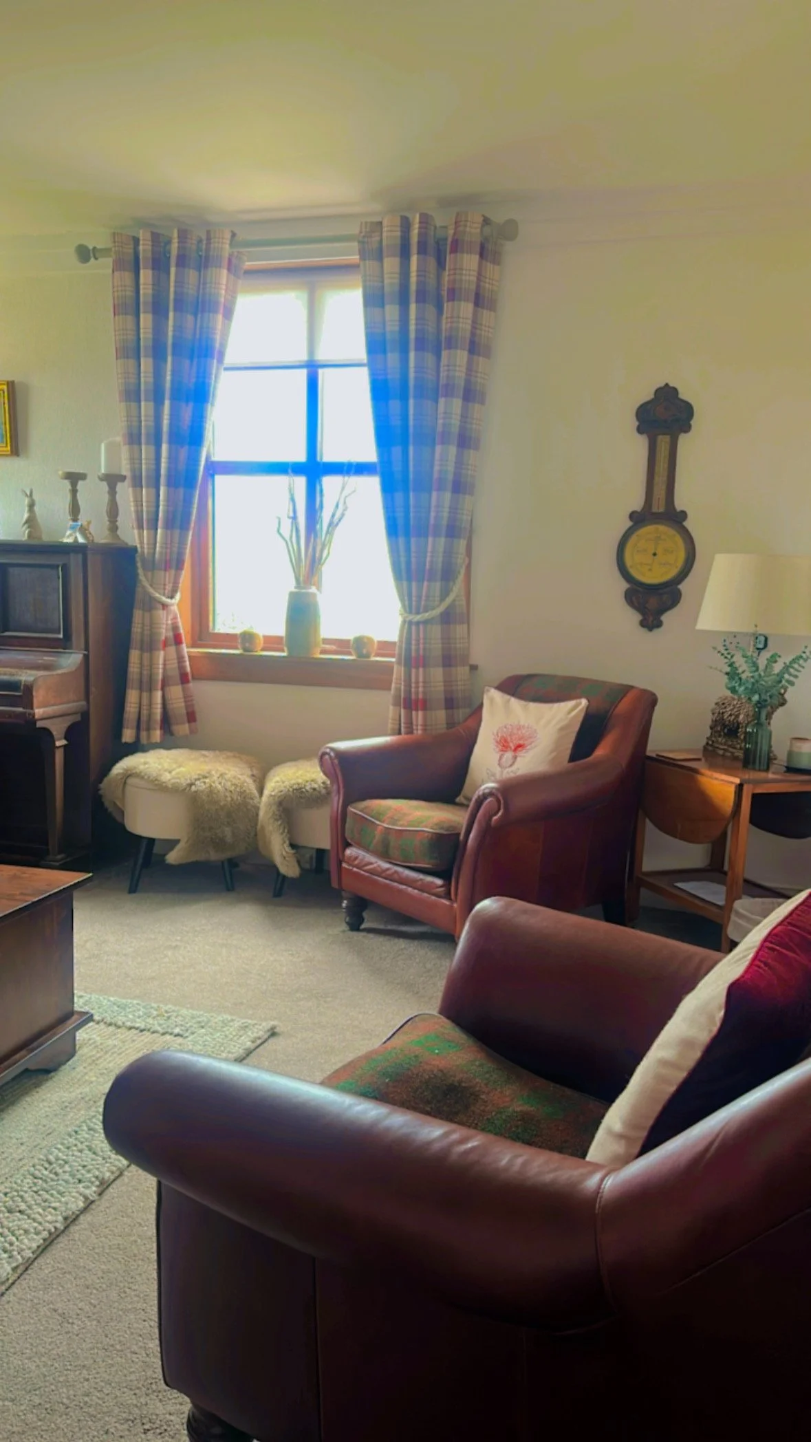 A cozy living room with a window dressed in plaid curtains, a brown leather armchair with a decorative pillow, a small side table with a lamp and plants, a vintage wall clock, and a beige carpet.