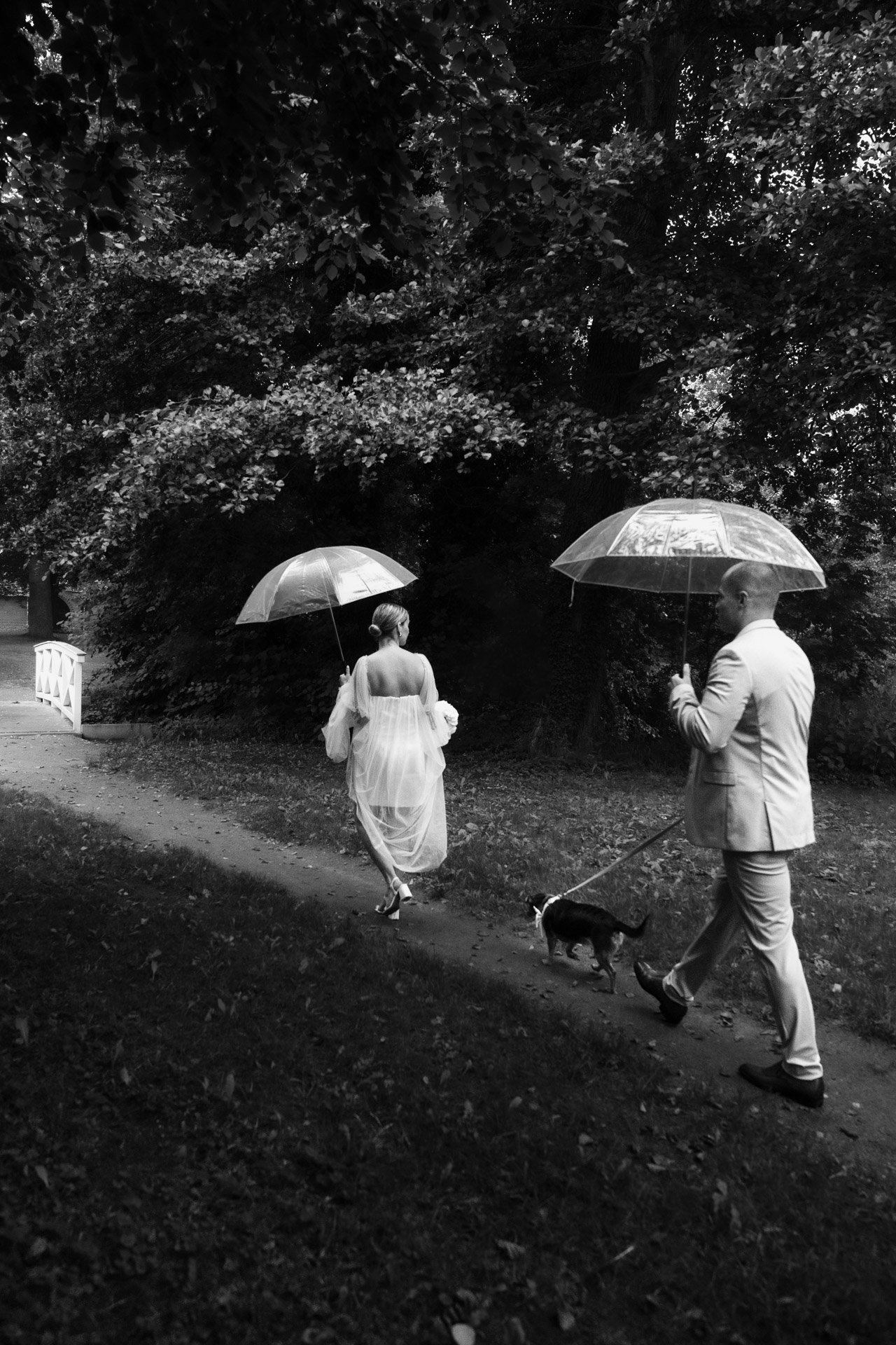 Braut und Bräutigam mit Hund Hochzeit Standesamt