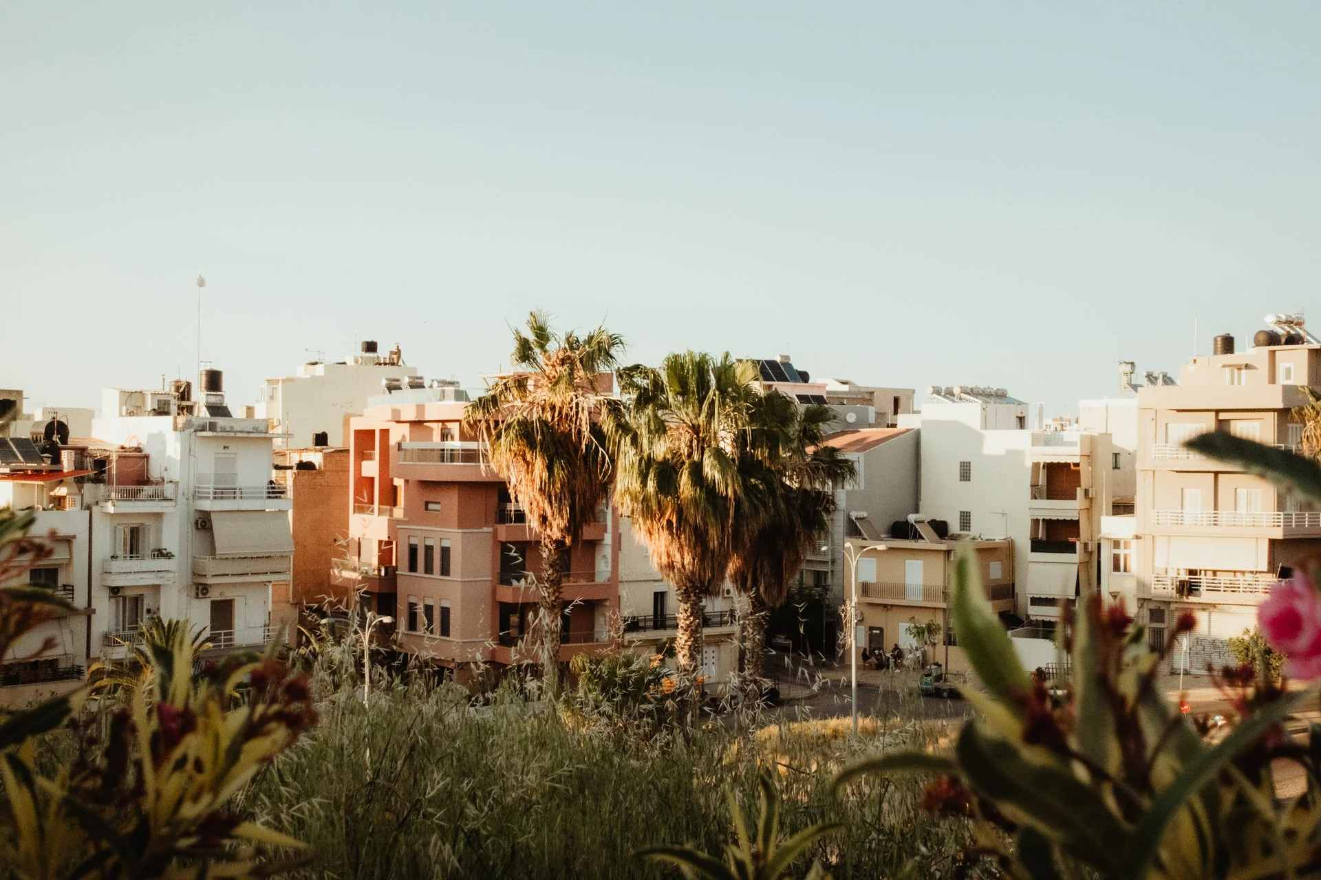 Stadtansicht mit weißen und beige Gebäuden, Palmen und Blumen im Vordergrund bei Sonnenuntergang.