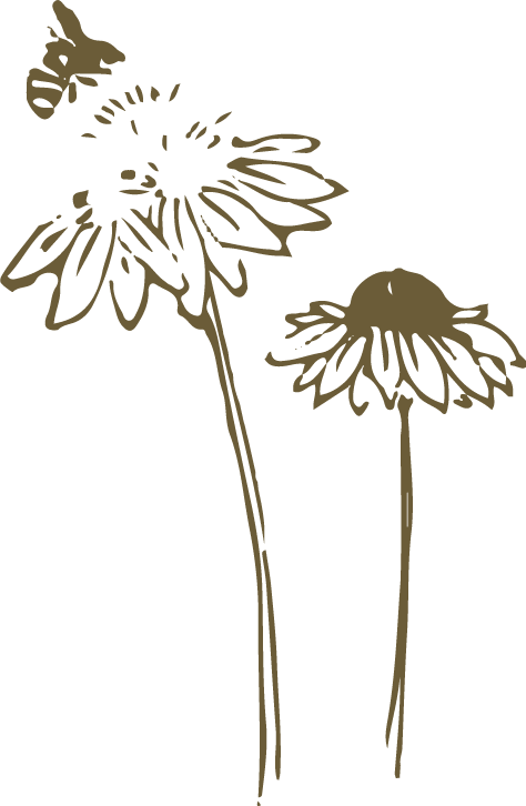 Biene sitzt auf Blumen