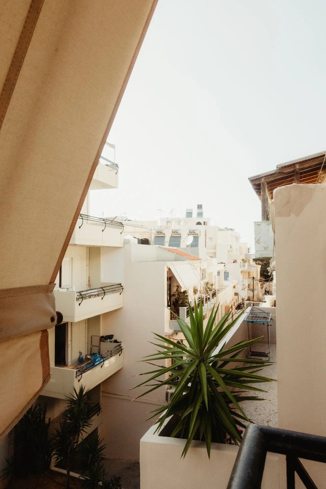 Blick von einem Balkon auf weiße Mehrfamilienhäuser in einer mediterranen Stadt, mit Pflanzen im Vordergrund und hellem Himmel