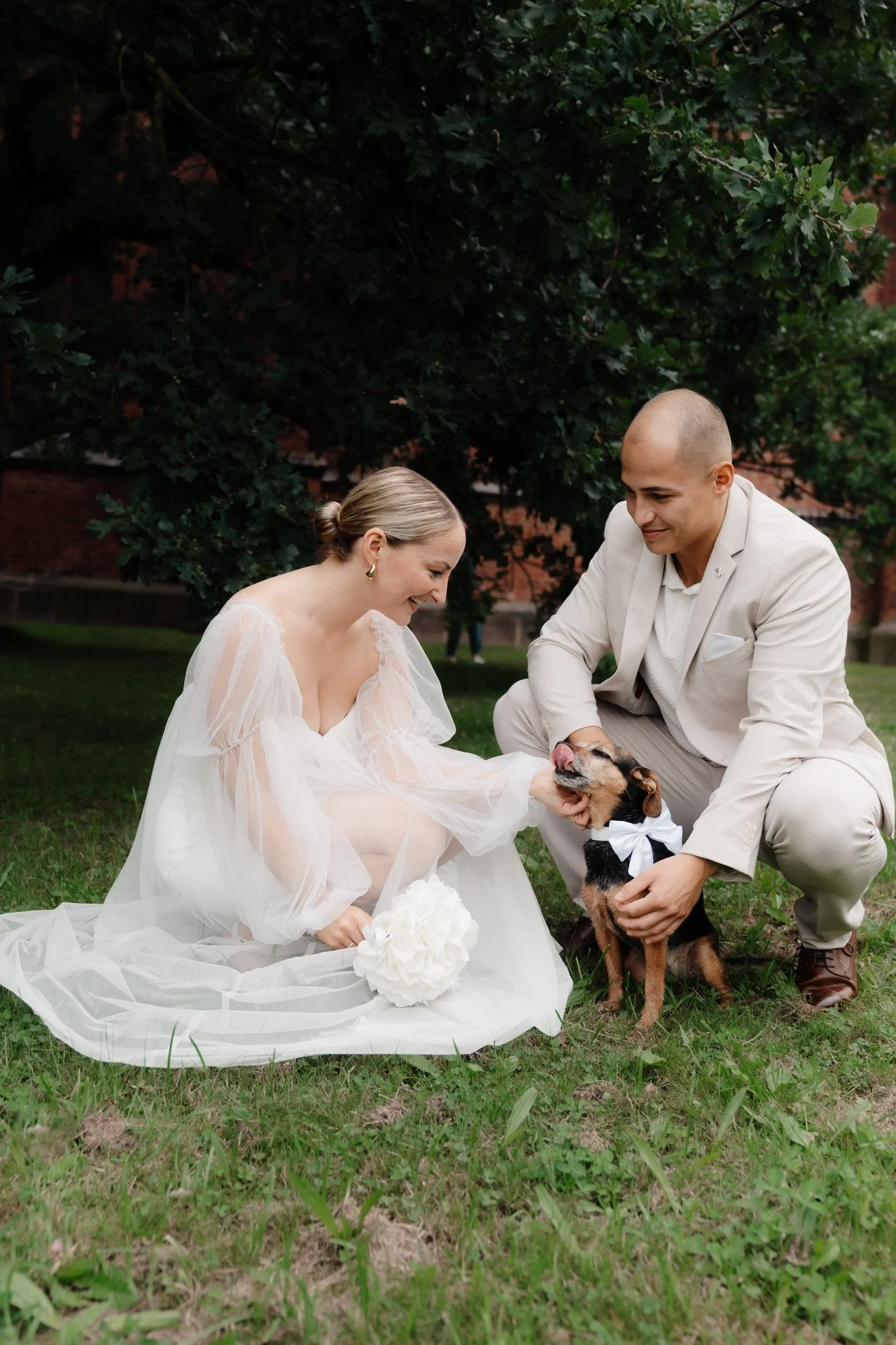 Rostock und Umgebung Standesamt Hund mit Brautpaar