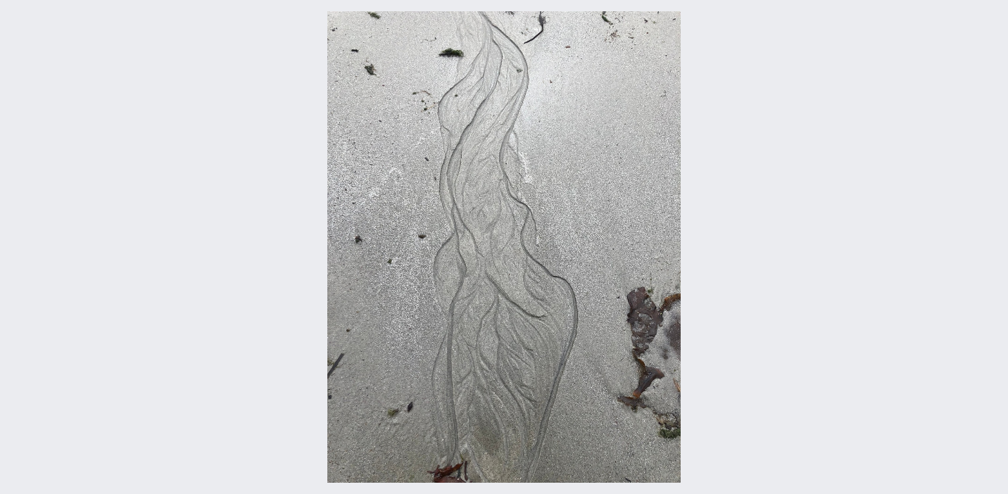 Close-up of a small, winding stream of water on a sandy beach, with bits of seaweed and small rocks around it.