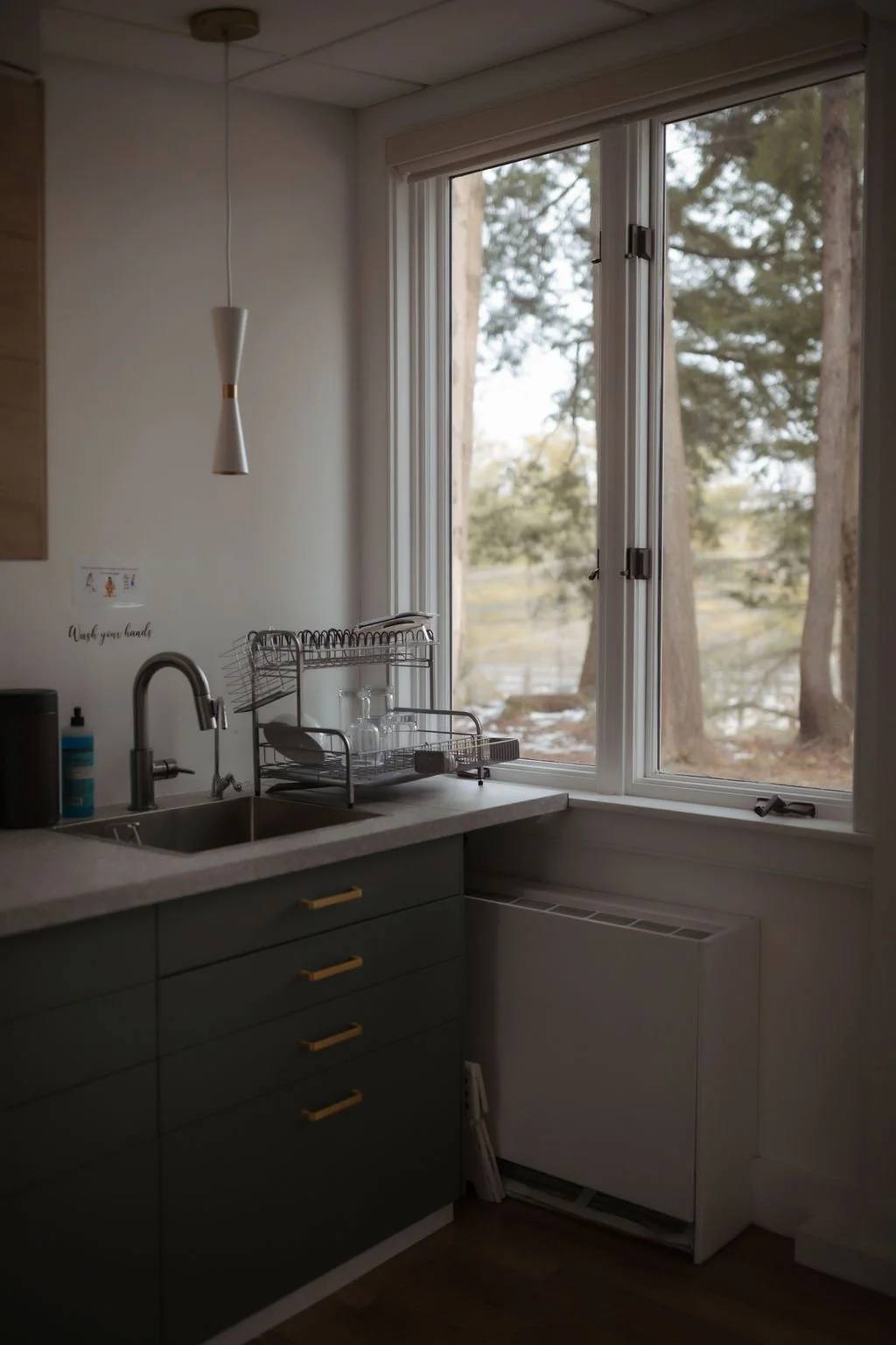 Kitchen with dark green cabinets, a small sink with a silver faucet, a dish drying rack with glasses, a window showing trees outside, and a pendant light hanging from the ceiling.