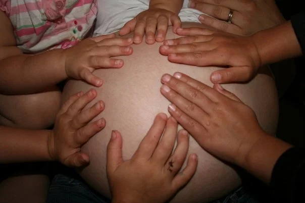5278165_orig.jpg