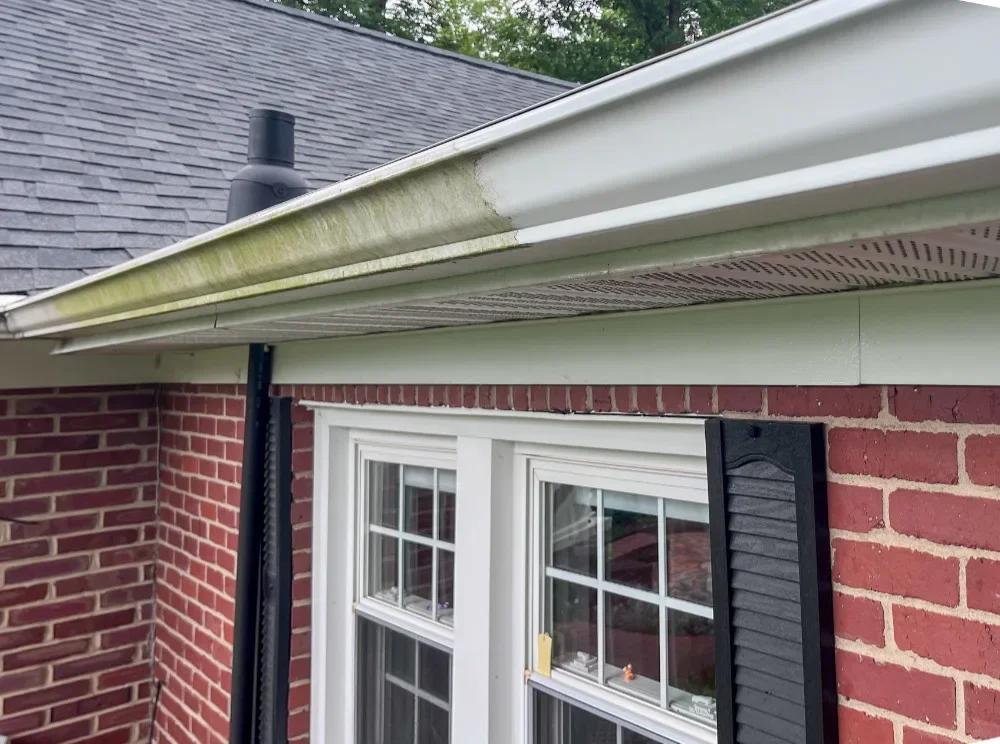 gutter-polishing-service-raleigh-nc-3.webp