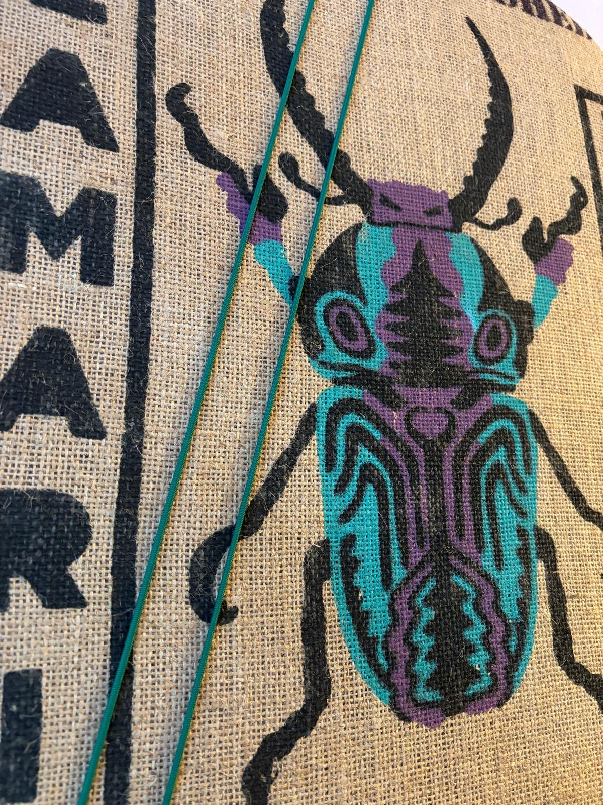 Lamari Bug Close Up.jpeg