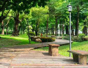 A park pathway lined with trees, benches, and lampposts.