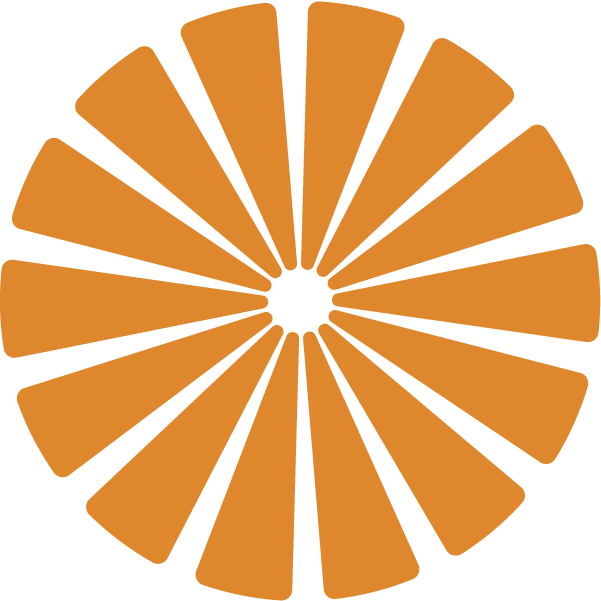 A stylized, circular graphic resembling a sunflower or wheel with orange petal-like shapes radiating outward from a small central black circle.