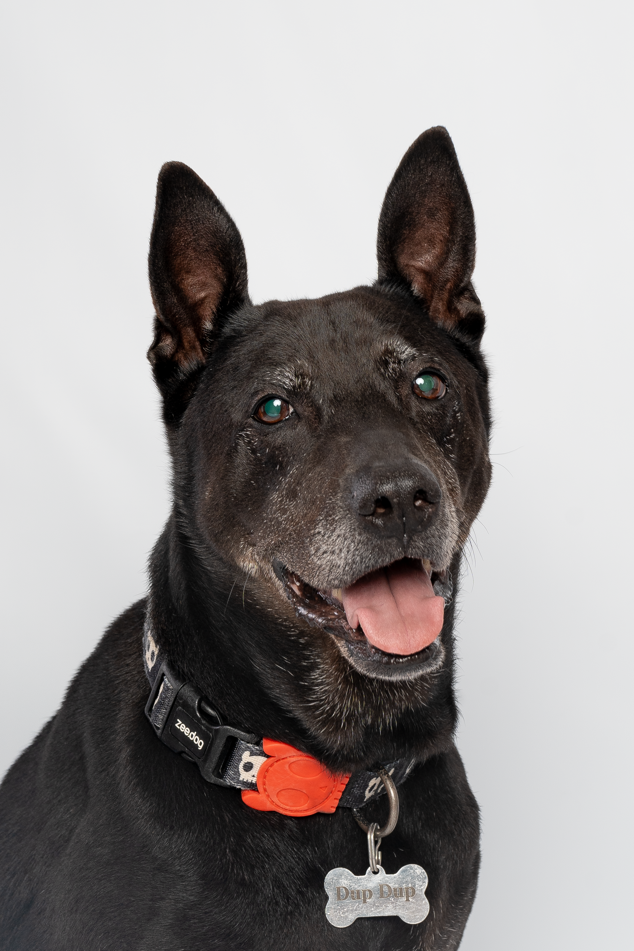 Relaxed family portrait outdoors with parents and children laughing naturally