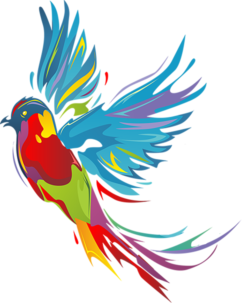 Colorful, stylized illustration of a parrot with bright, vibrant feathers in blue, red, yellow, green, and purple.