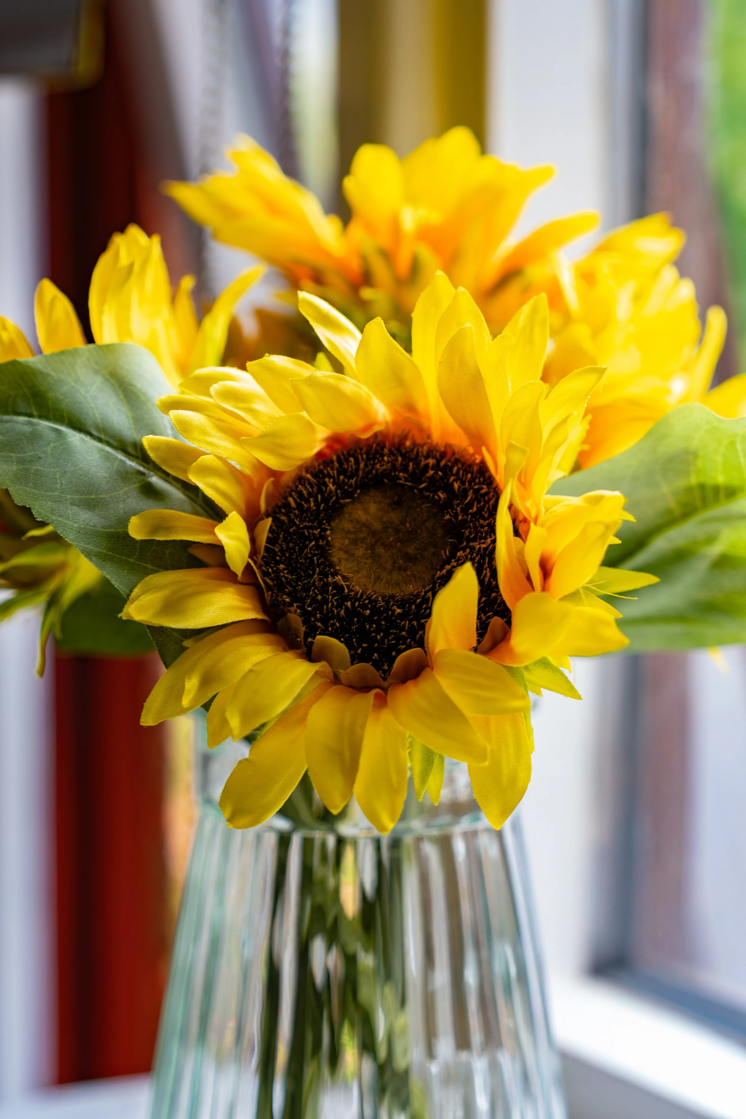 sunflowers in a vase