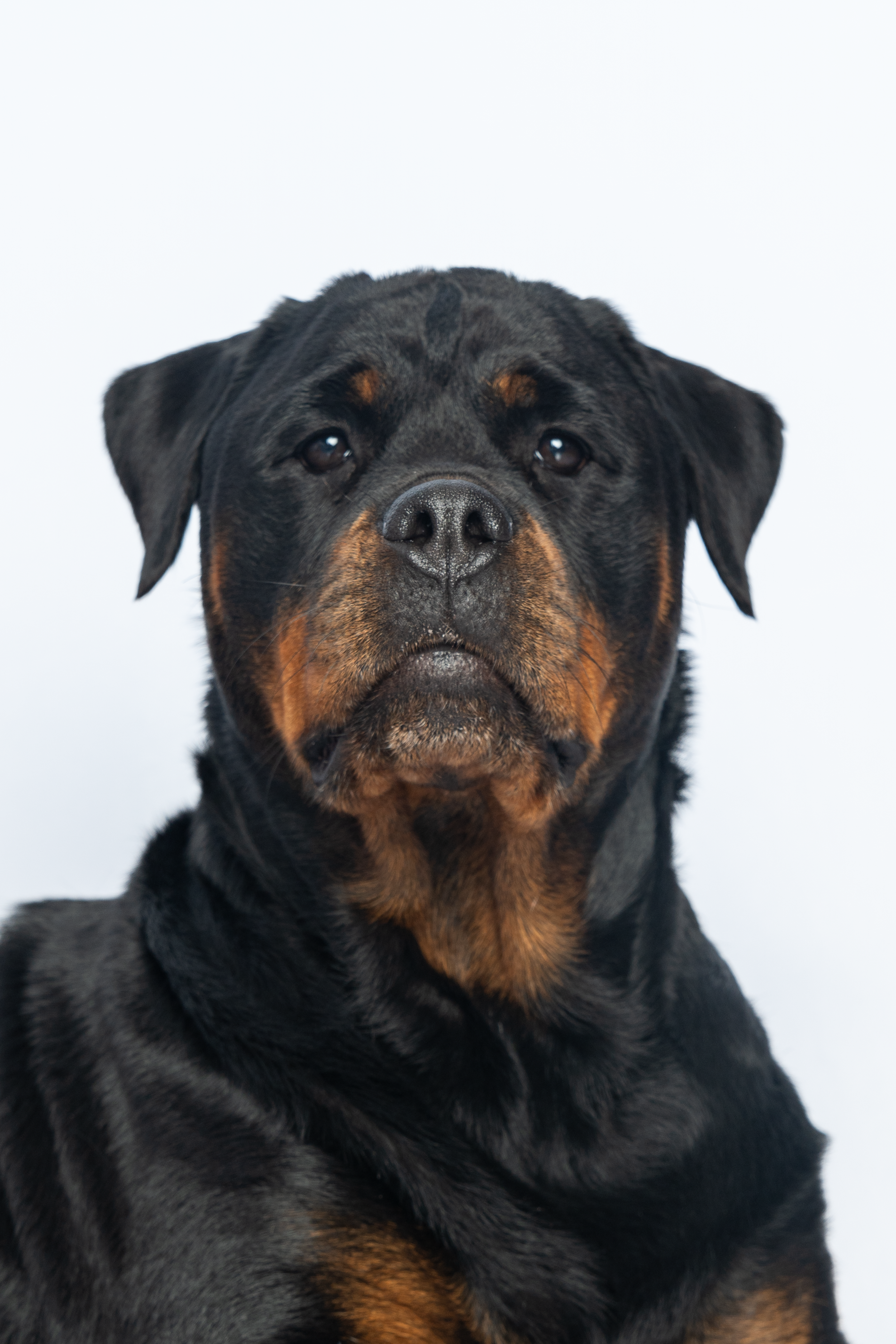 Professional headshot of creative business owner with natural light background