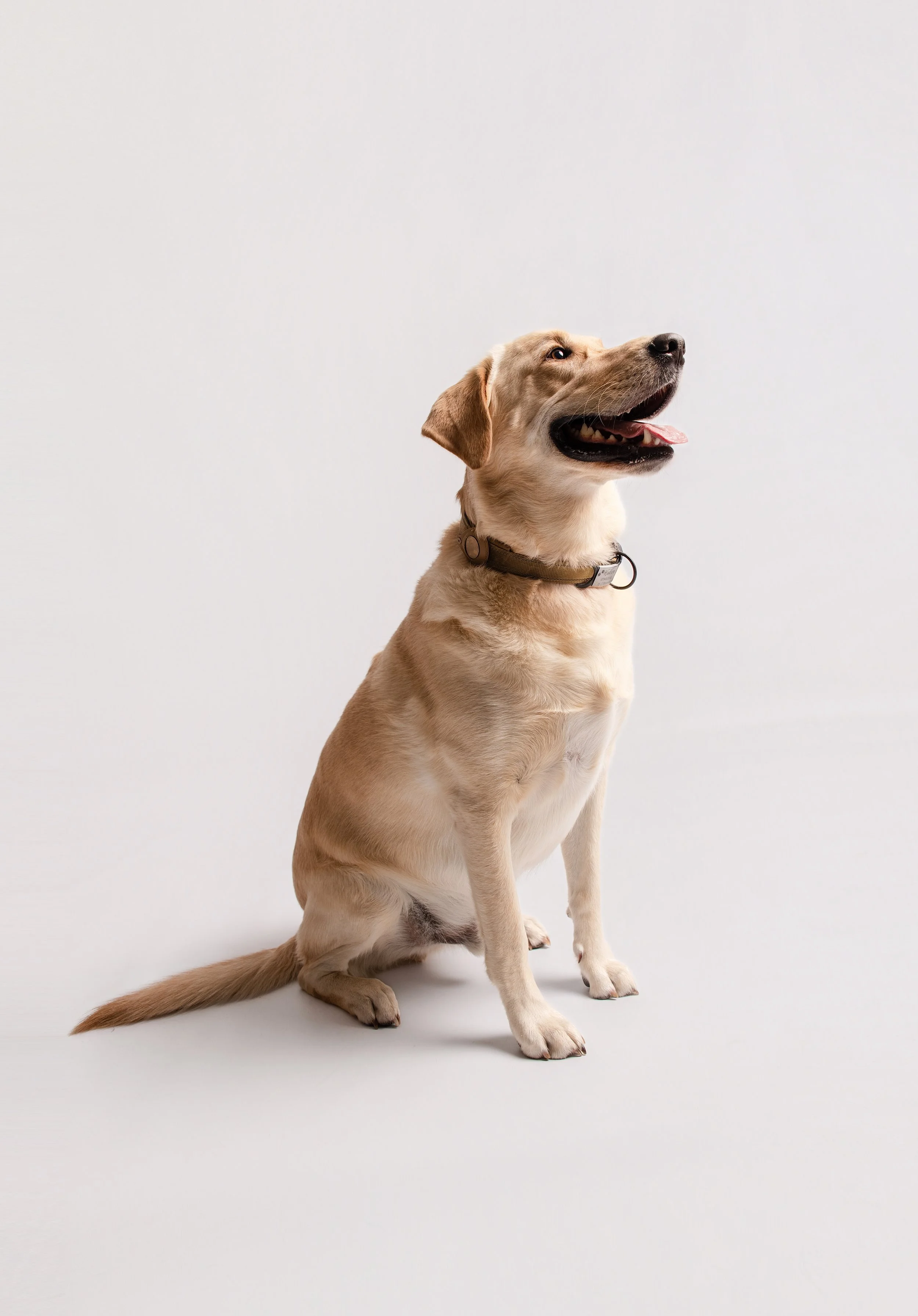Group of women and girls in matching pink polka dot dresses performing a dance on stage with a purple background that says "PARTY."
