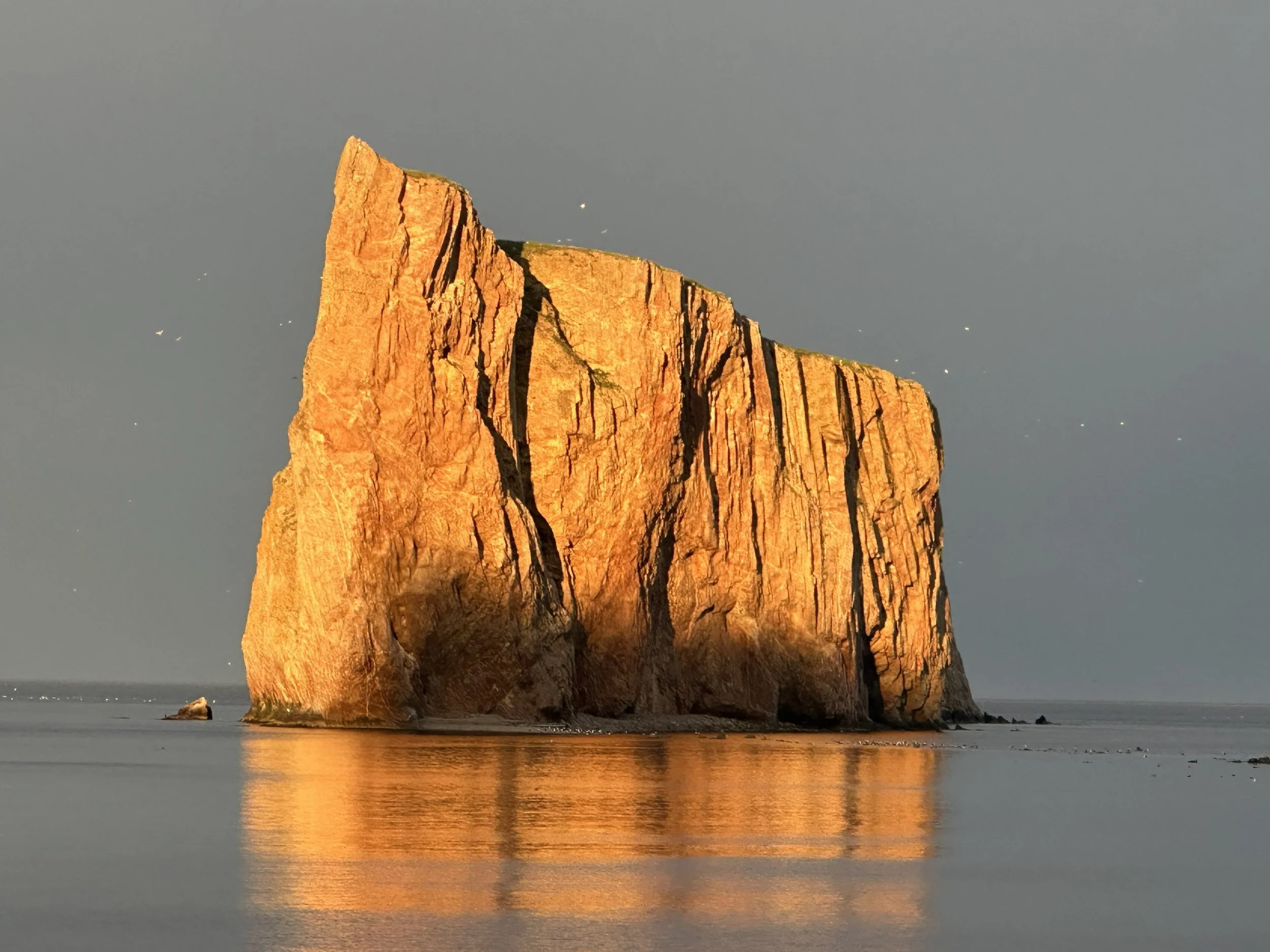 Viens me saluer sur le bord de la mer à Percé