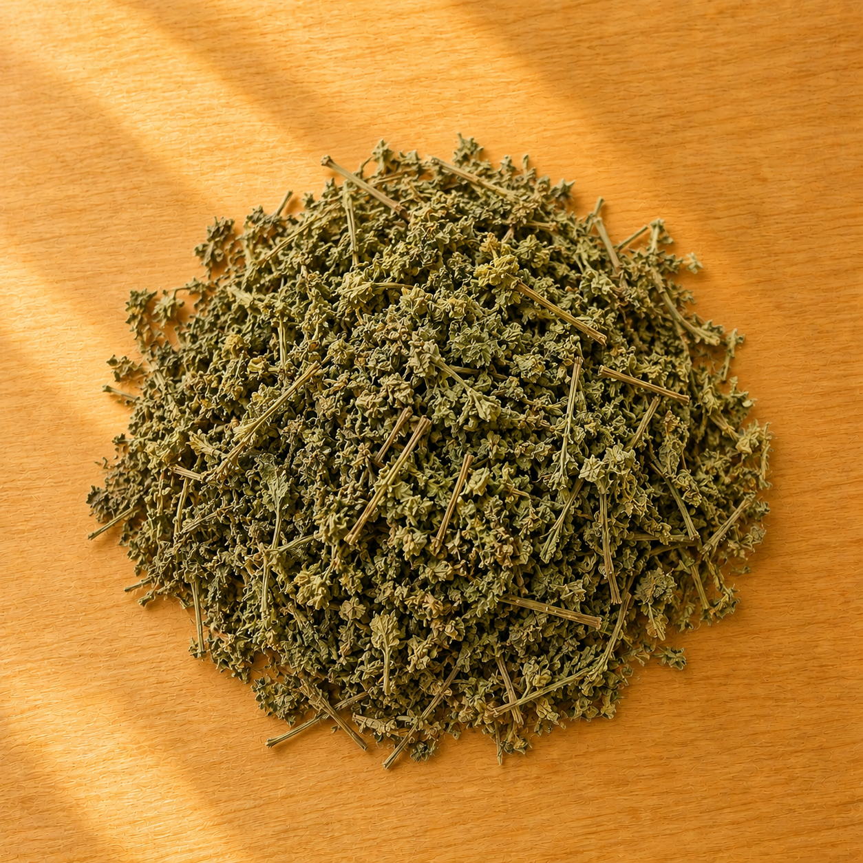 Scrutellaire