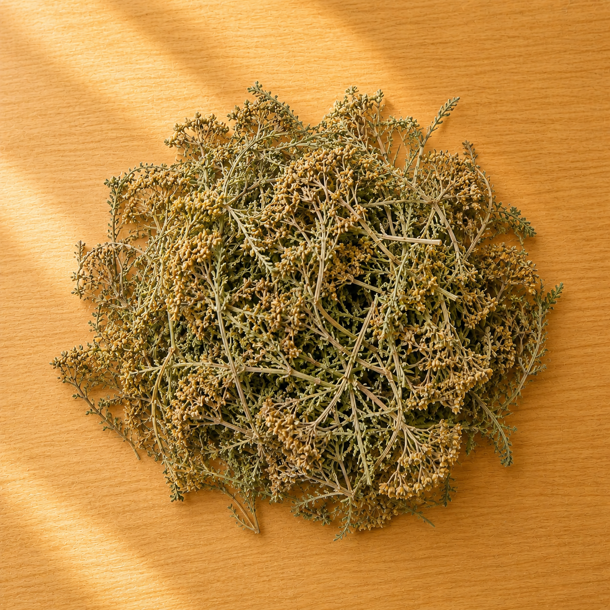 plantes_fenugrec.png